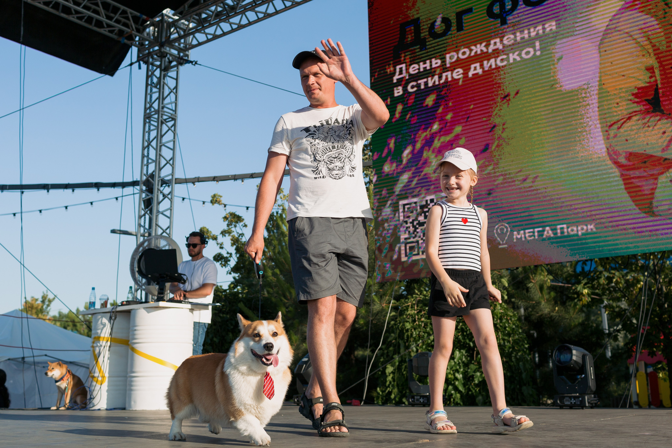 Dog Fest 2024. Главная