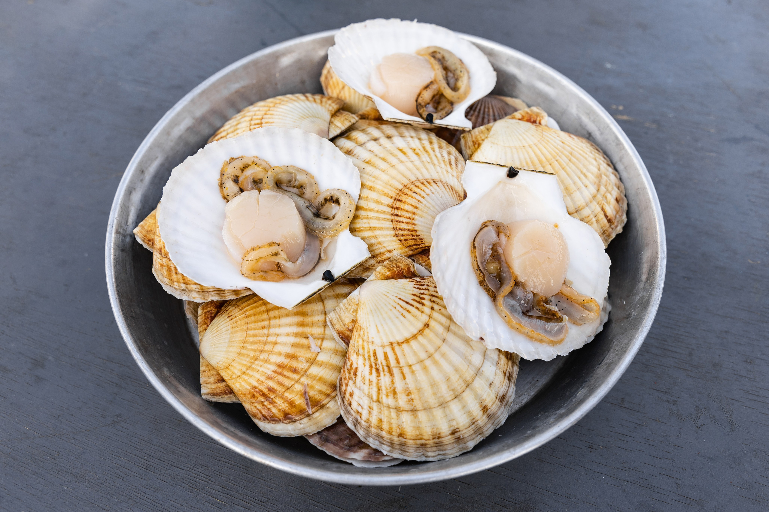 Гастрономические фестивали. Фотограф Владивосток Такамацу Мия