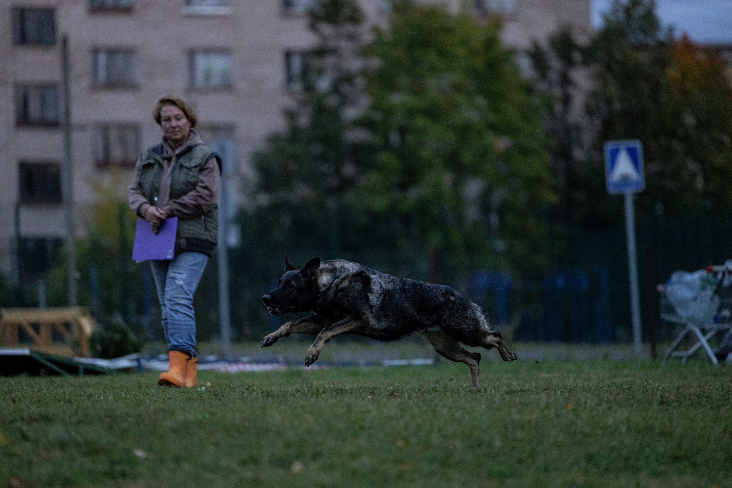 Испытания по Мондьорингу г. Пушкин. Фотограф-анималист Анна Маринич