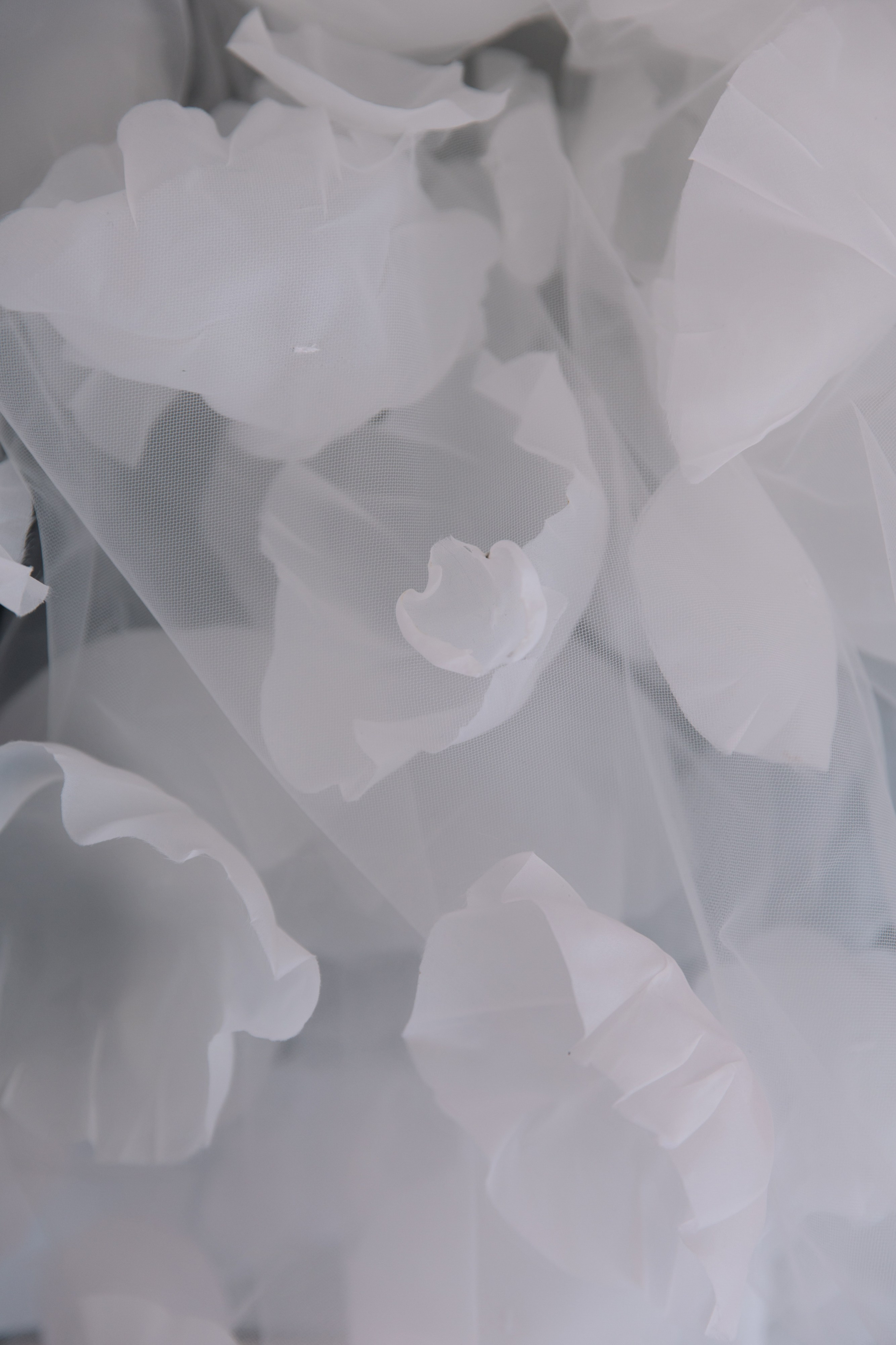 PINK. Свадебный фотограф в Москве и Краснодаре Анастасия Прудко