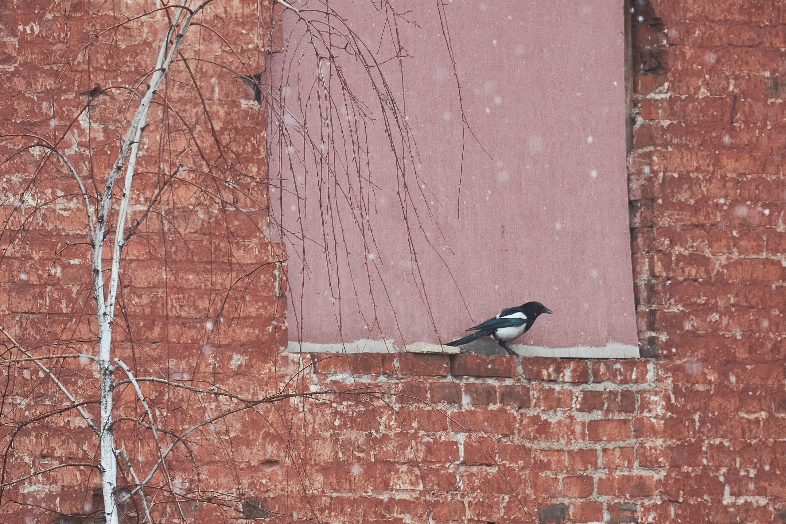 20210316-18 Тула. Дмитрий Ремизов. Фотография, как хобби