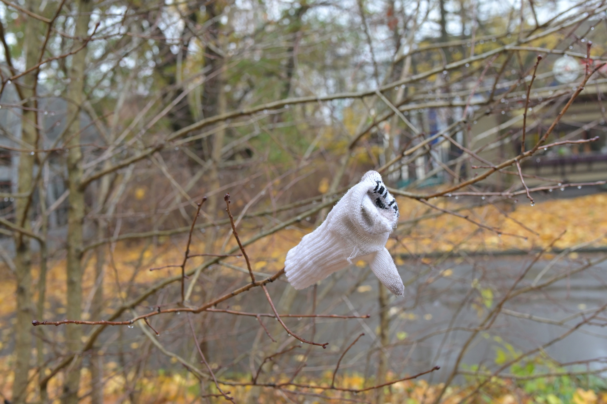 20241026 Сокольники. Дмитрий Ремизов. Фотография, как хобби