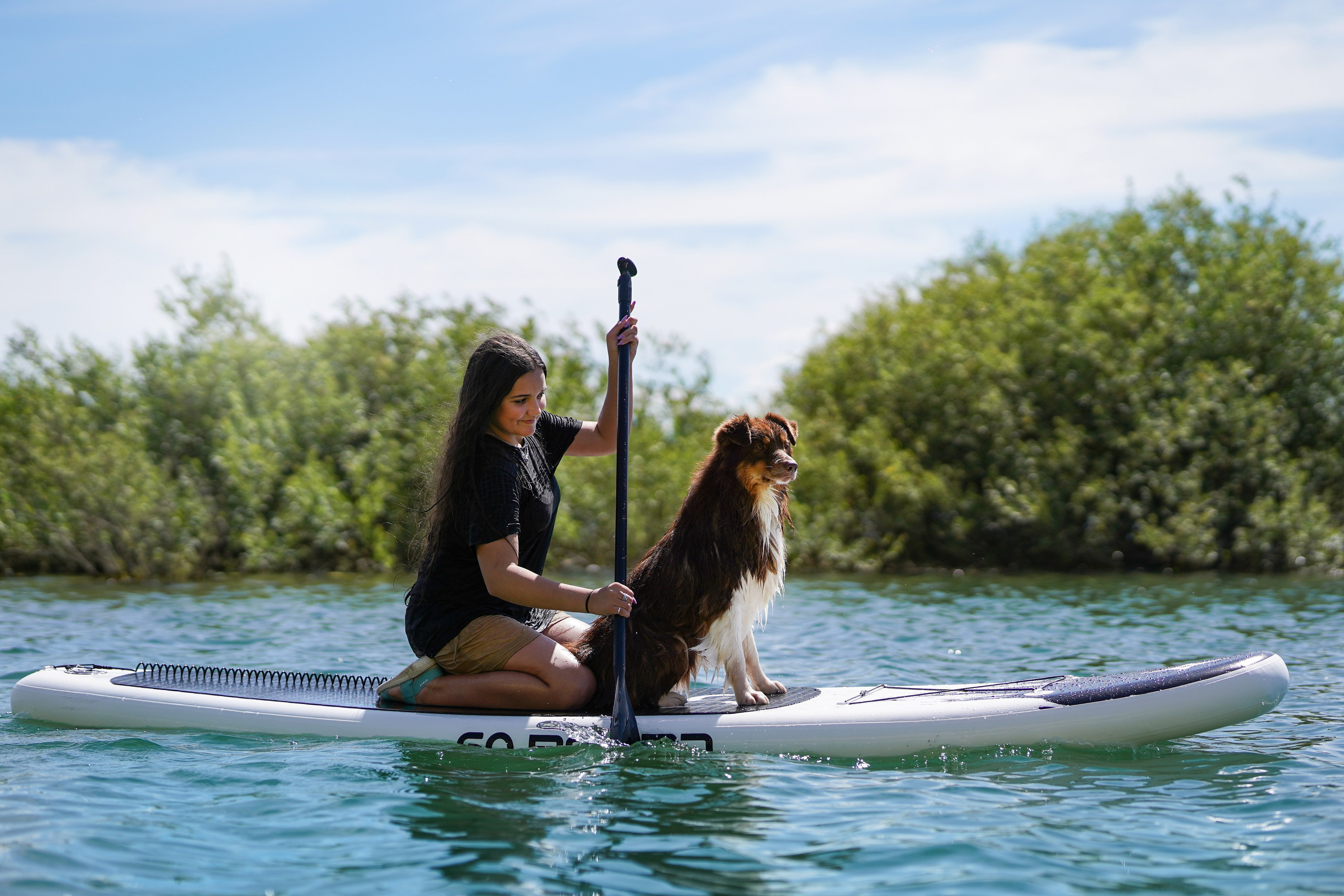 Аусси на карьерах. Фотограф-анималист в Санкт-Петербурге Яна Мартынова
