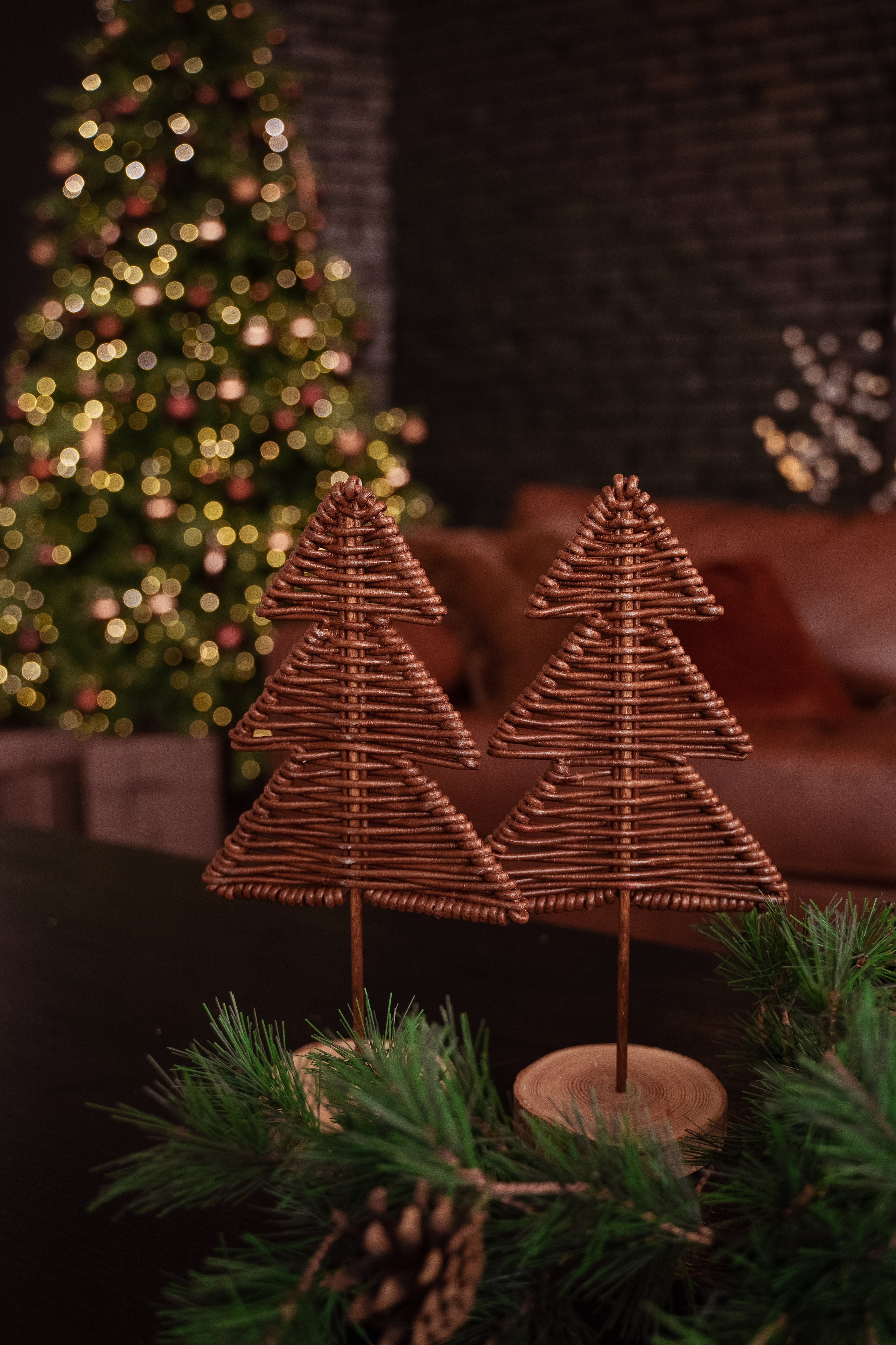 Браун (Brown). Фотограф г. Хабаровск. Семейные и индивидуальные съёмки