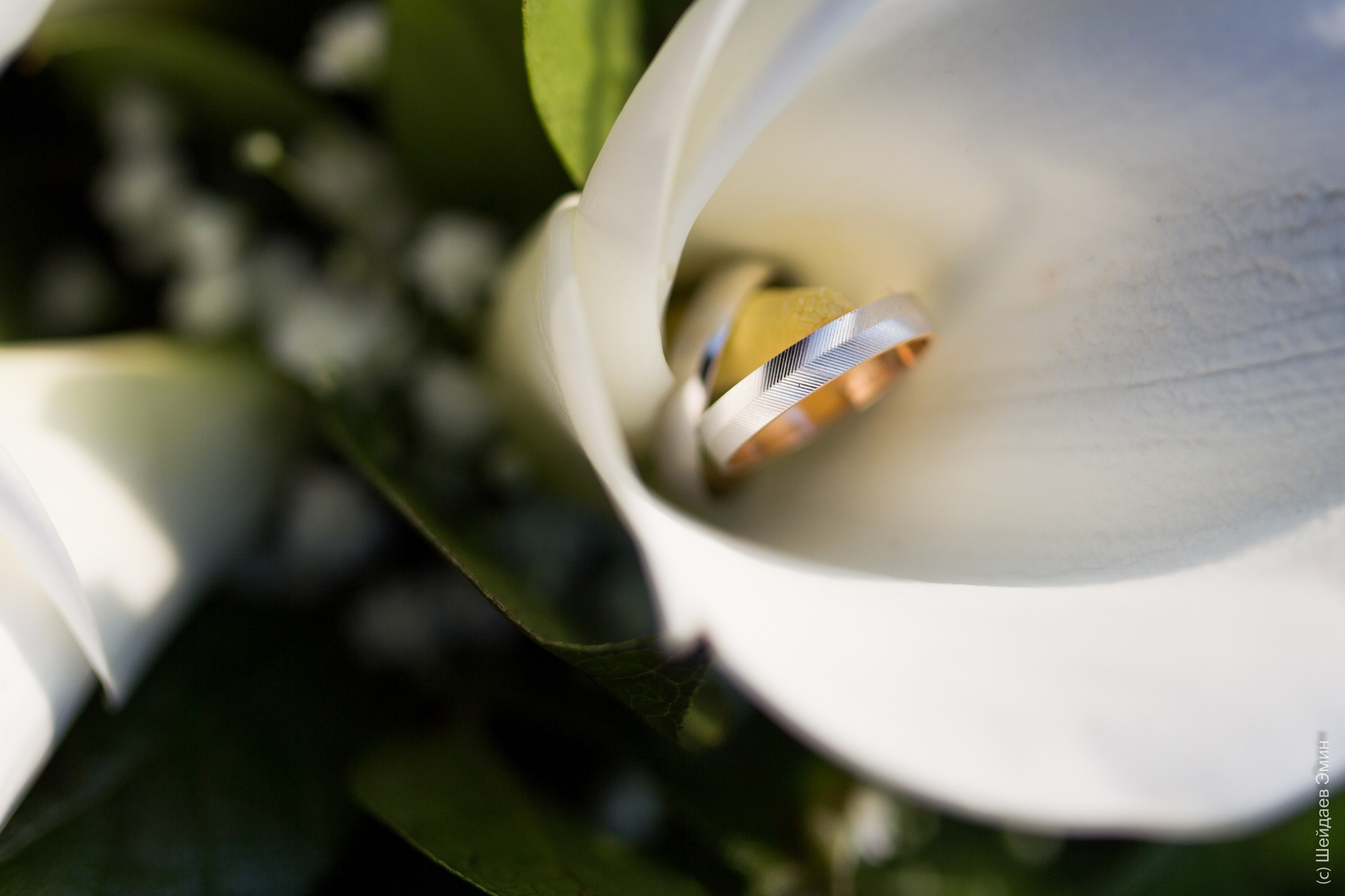 Свадебное портфолио. Фотограф Шейдаев Эмин г. Волгоград