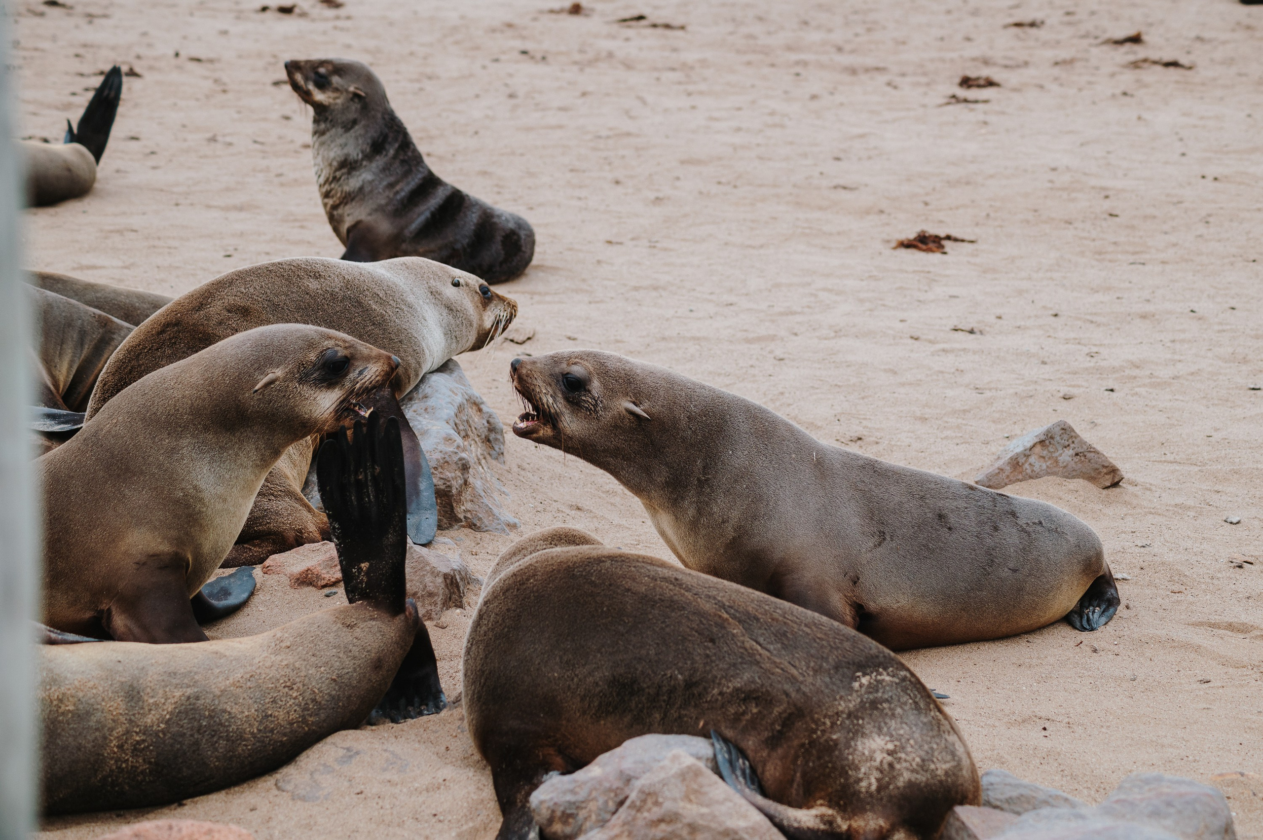 НАМИБИЯ. Роадтрип