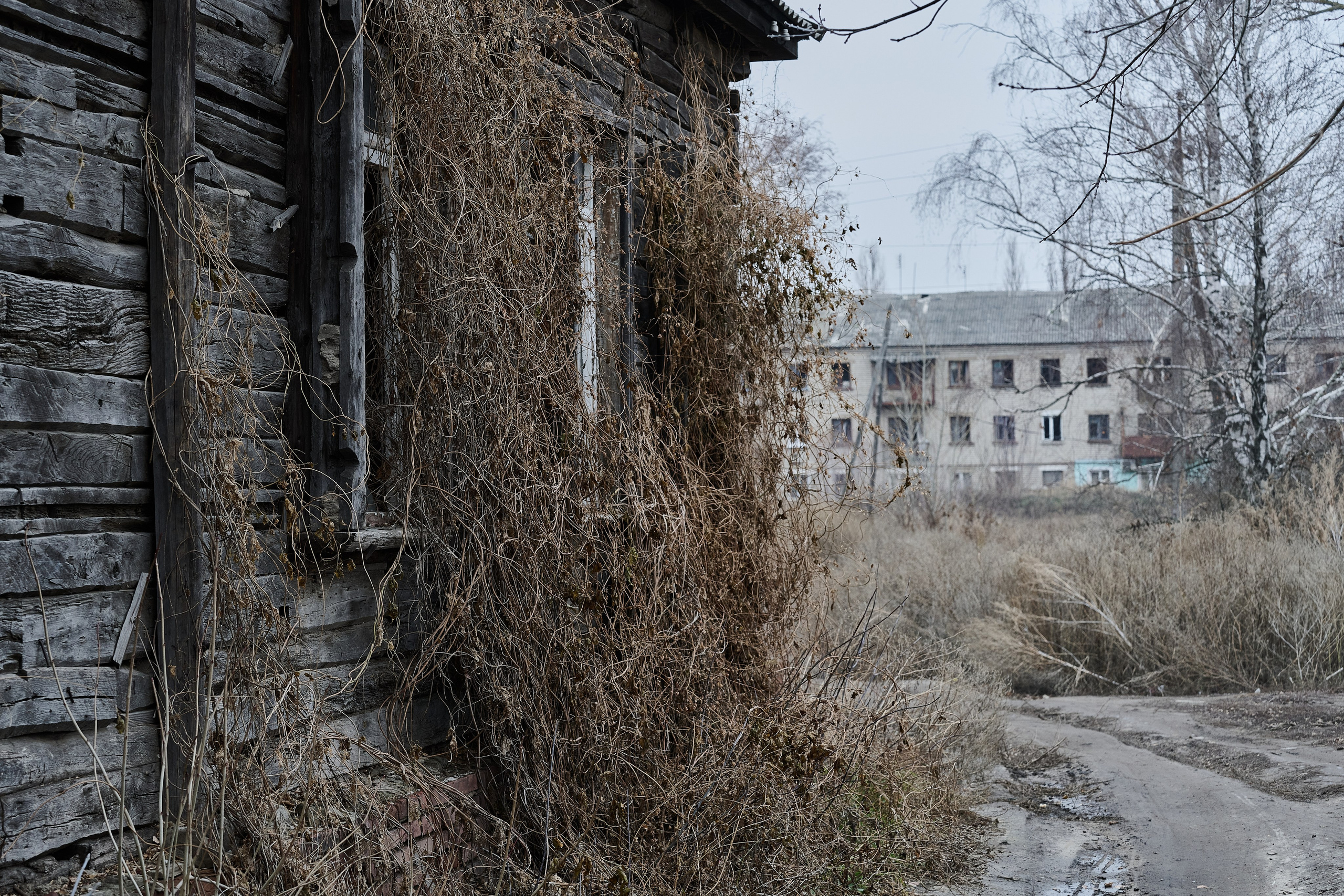 Краснореченское. Луганская область. Фотопроект «Территории»