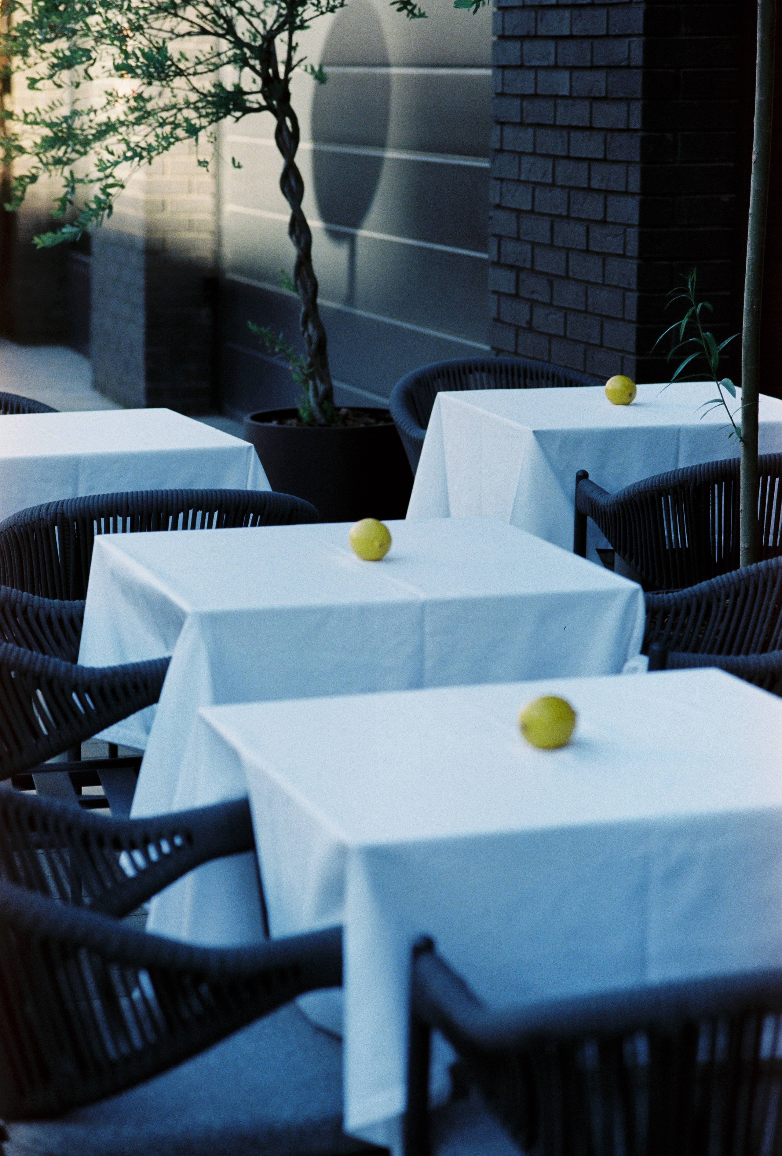 Б. Пленочный фотограф