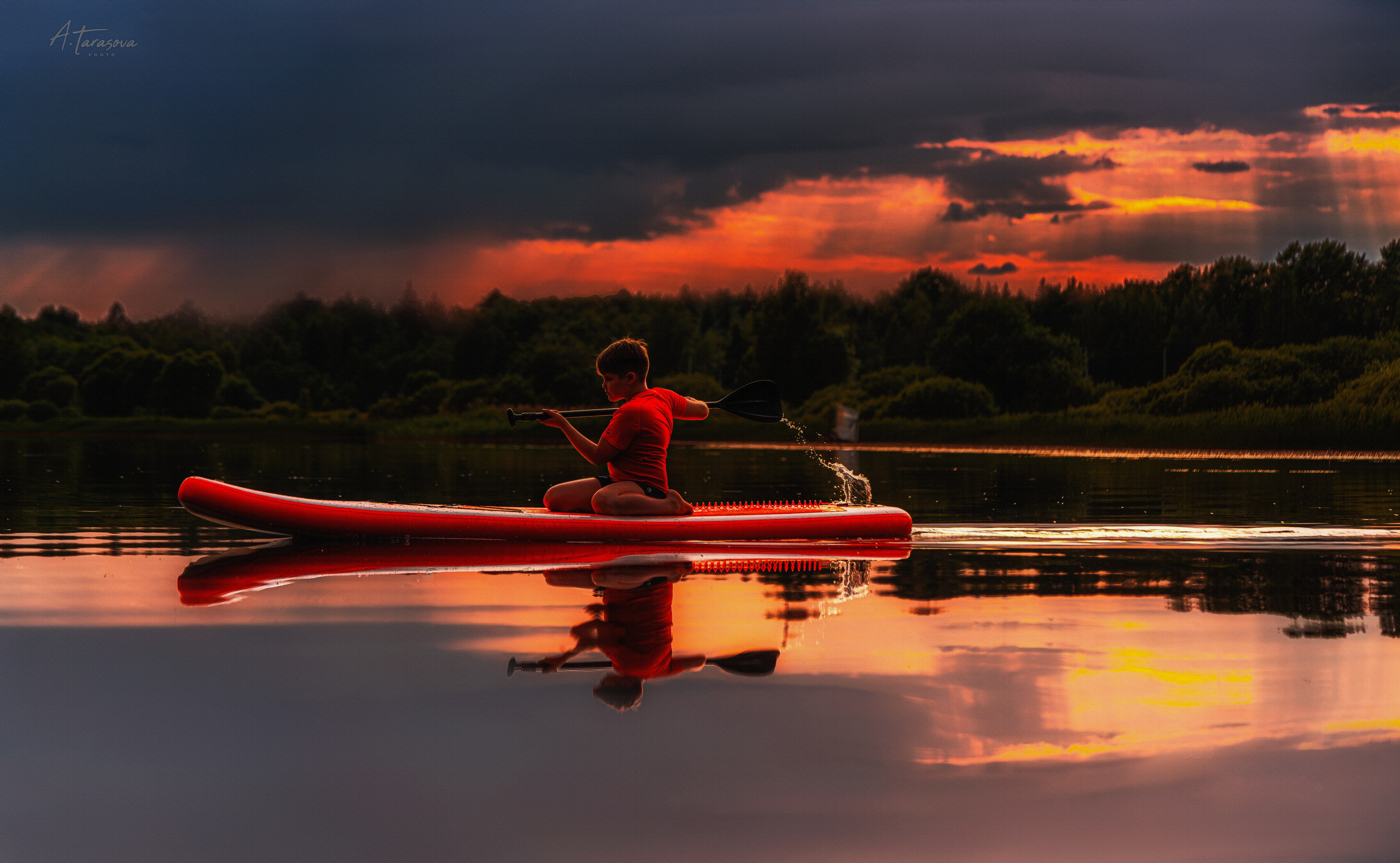 ФОТОПАМЯТЬ ВАШИХ ЭМОЦИЙ. Фотограф-анималист, семейный фотограф в Москве и Подмосковье. Фотосъёмка кинологических дисциплин