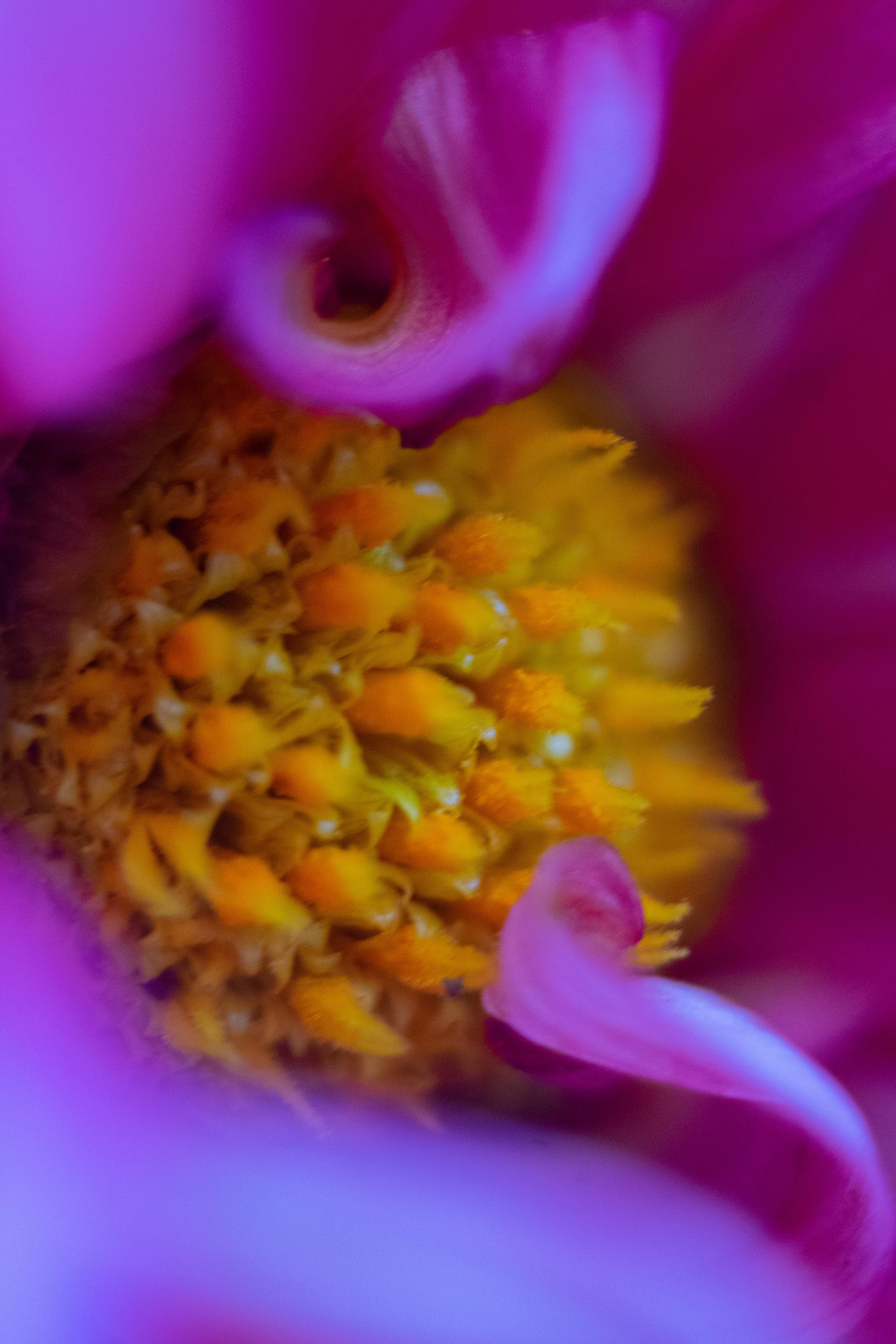 Красивые кадры и макро. Фотограф Ахмедов Эльдар Чита