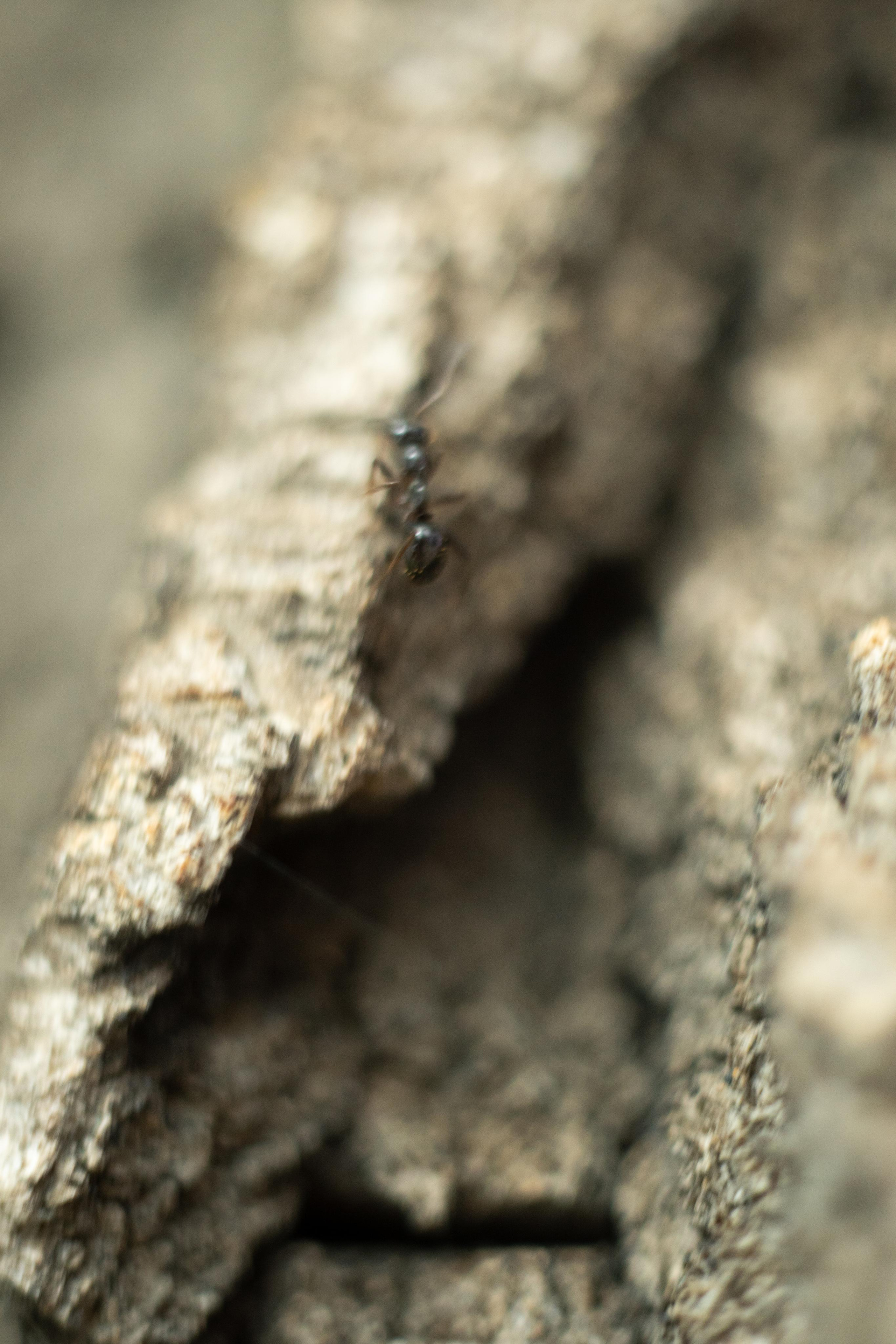 Красивые кадры и макро. Фотограф Ахмедов Эльдар Чита