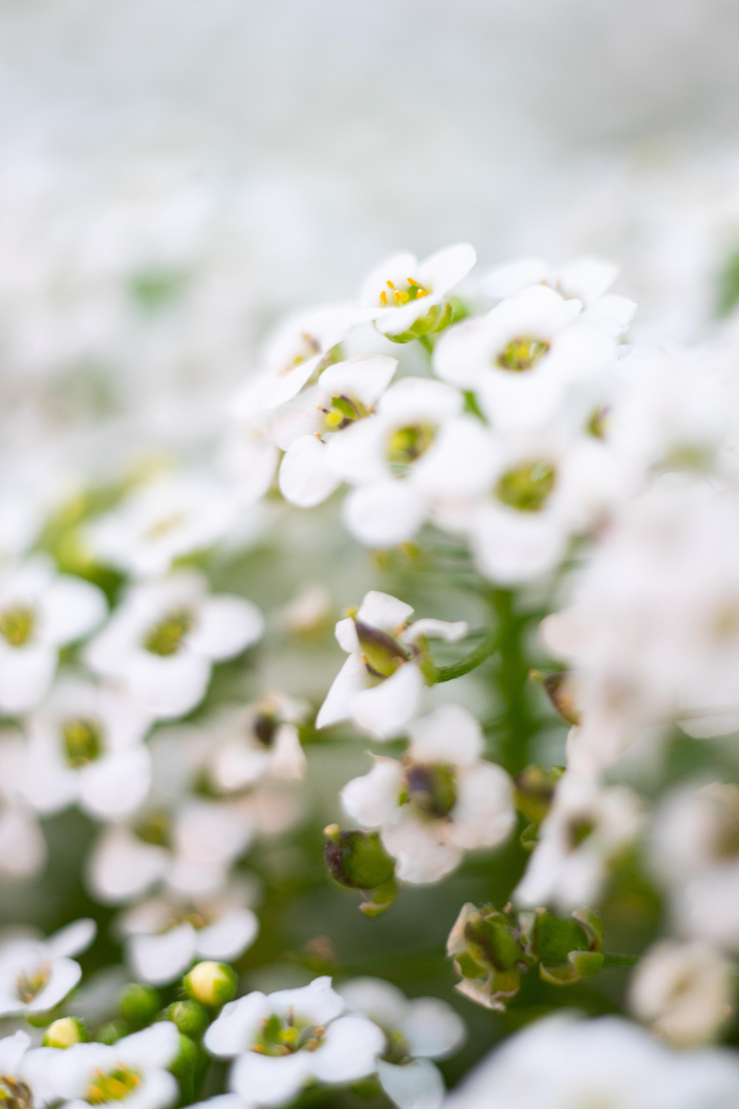 Красивые кадры и макро. Фотограф Ахмедов Эльдар Чита