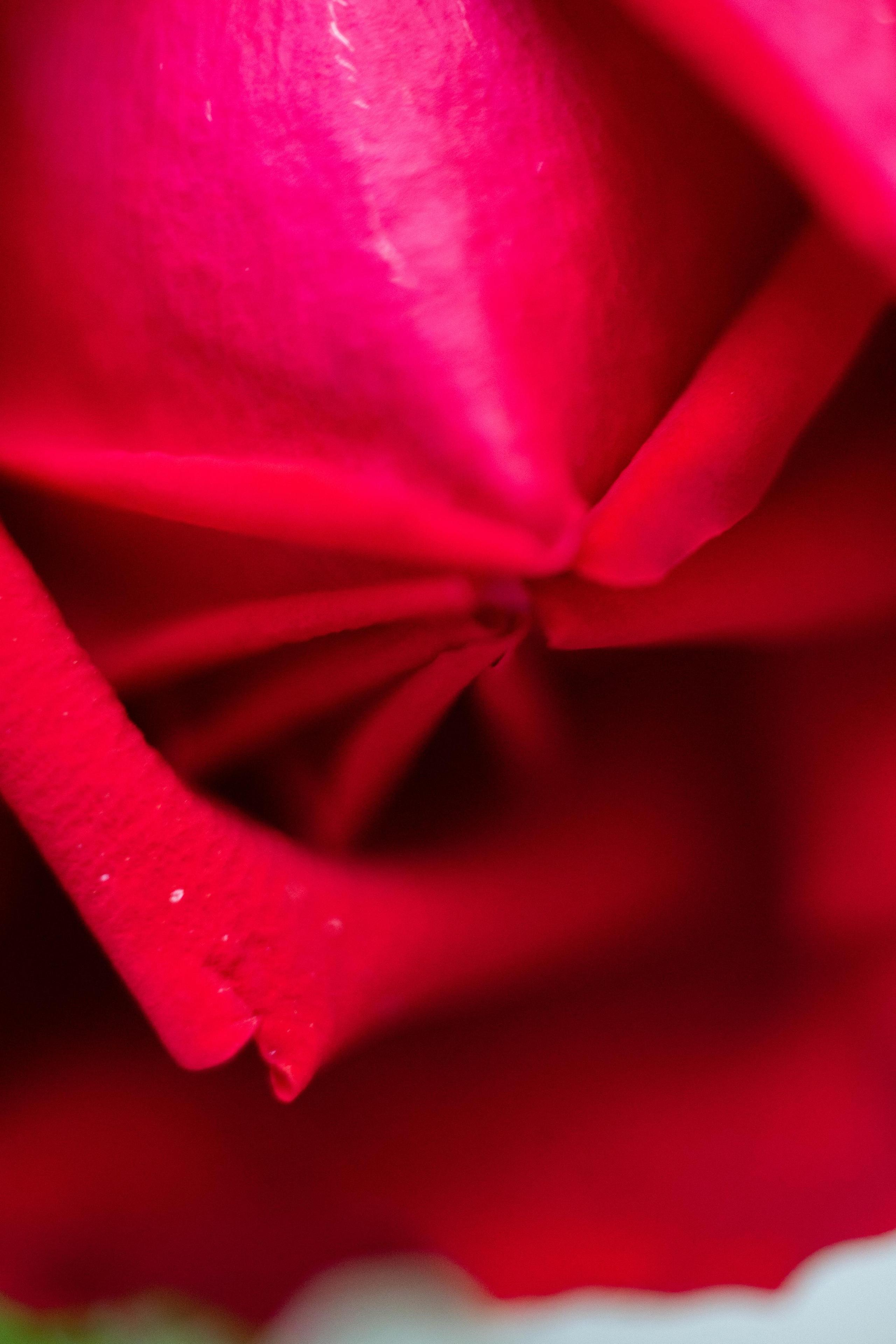 Красивые кадры и макро. Фотограф Ахмедов Эльдар Чита