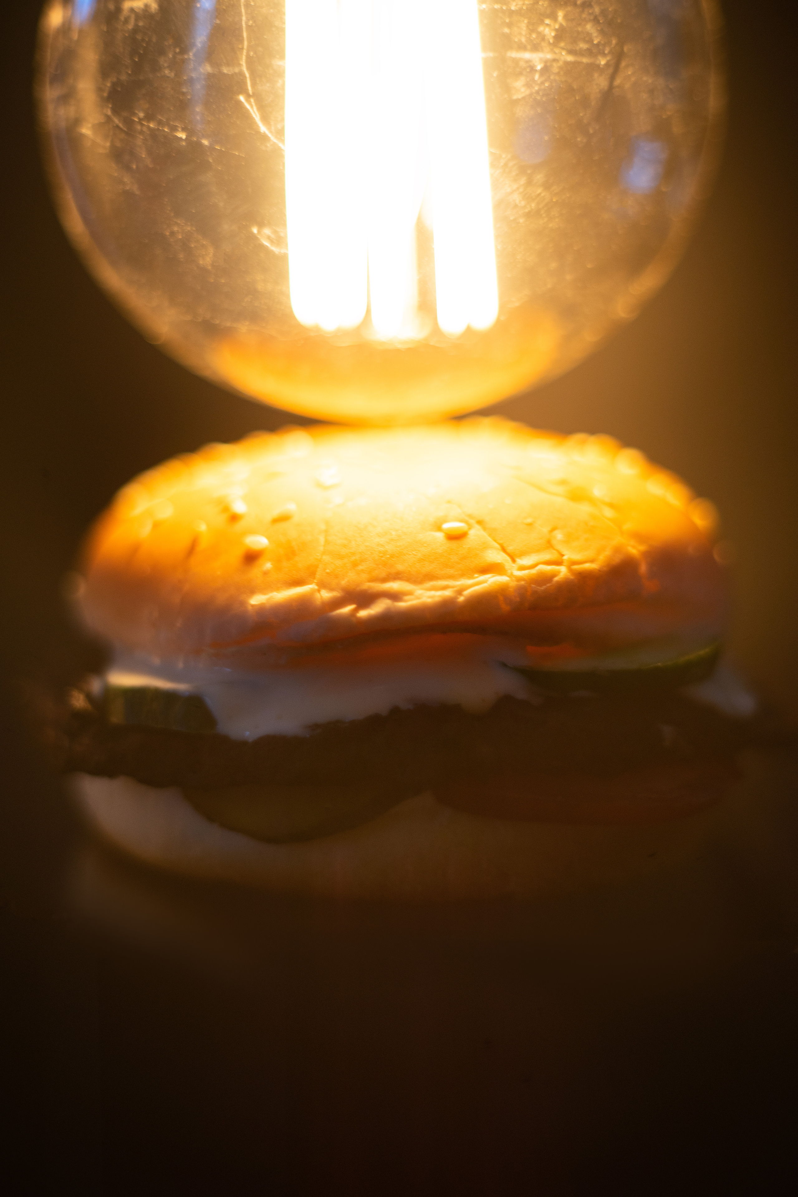 Бургер. Фотограф Ахмедов Эльдар Чита