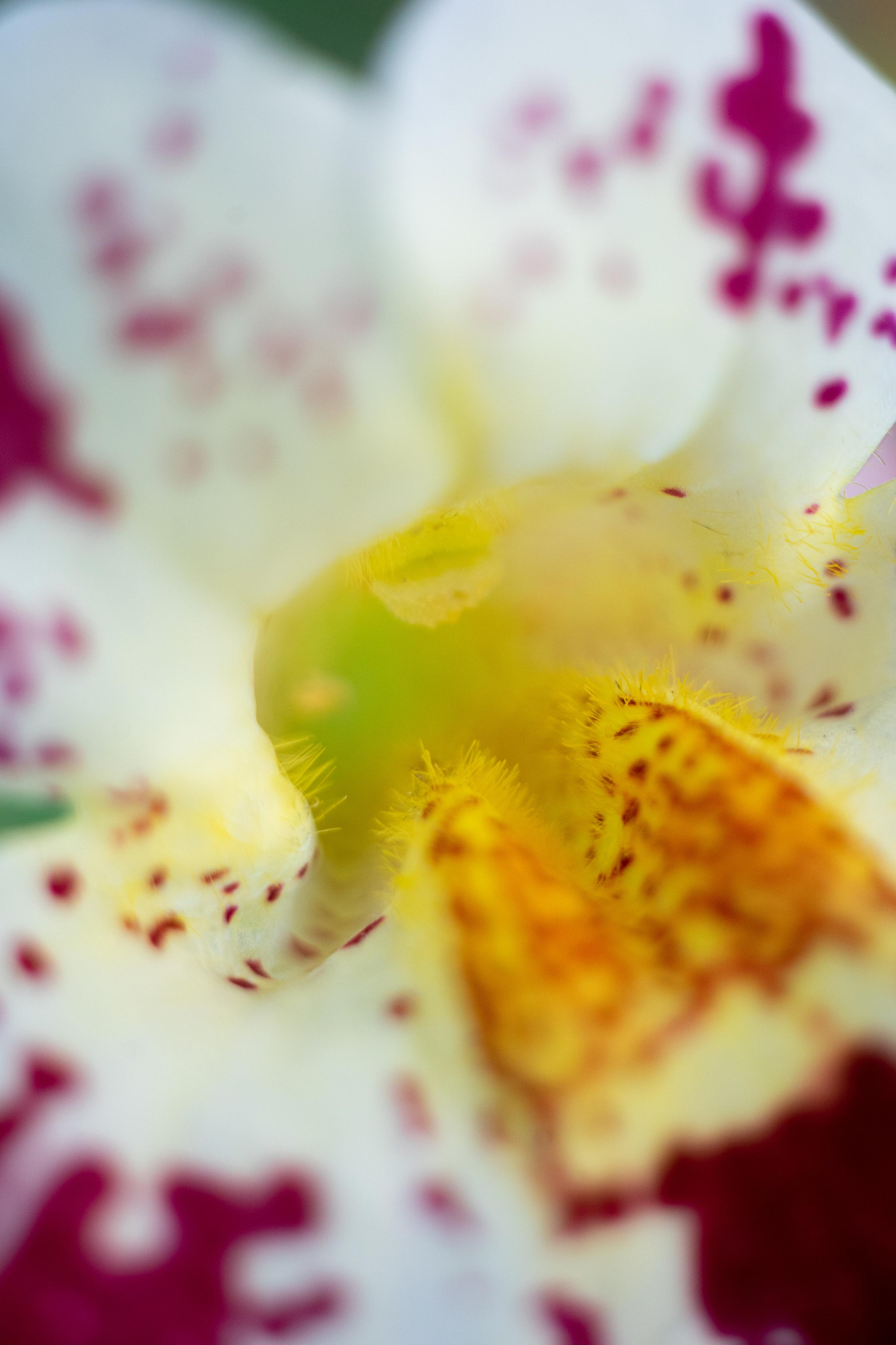 Красивые кадры и макро. Фотограф Ахмедов Эльдар Чита