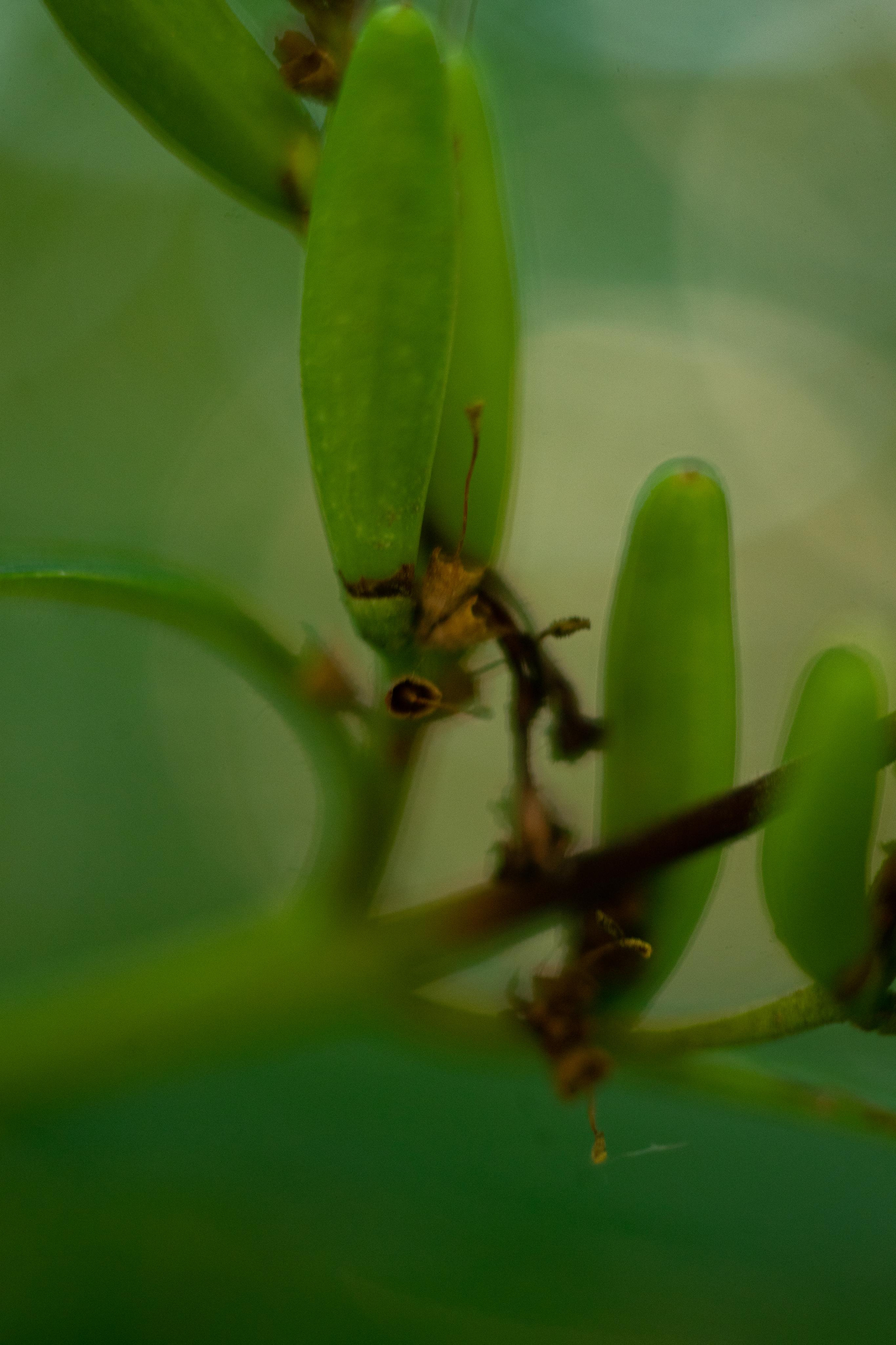 Красивые кадры и макро. Фотограф Ахмедов Эльдар Чита