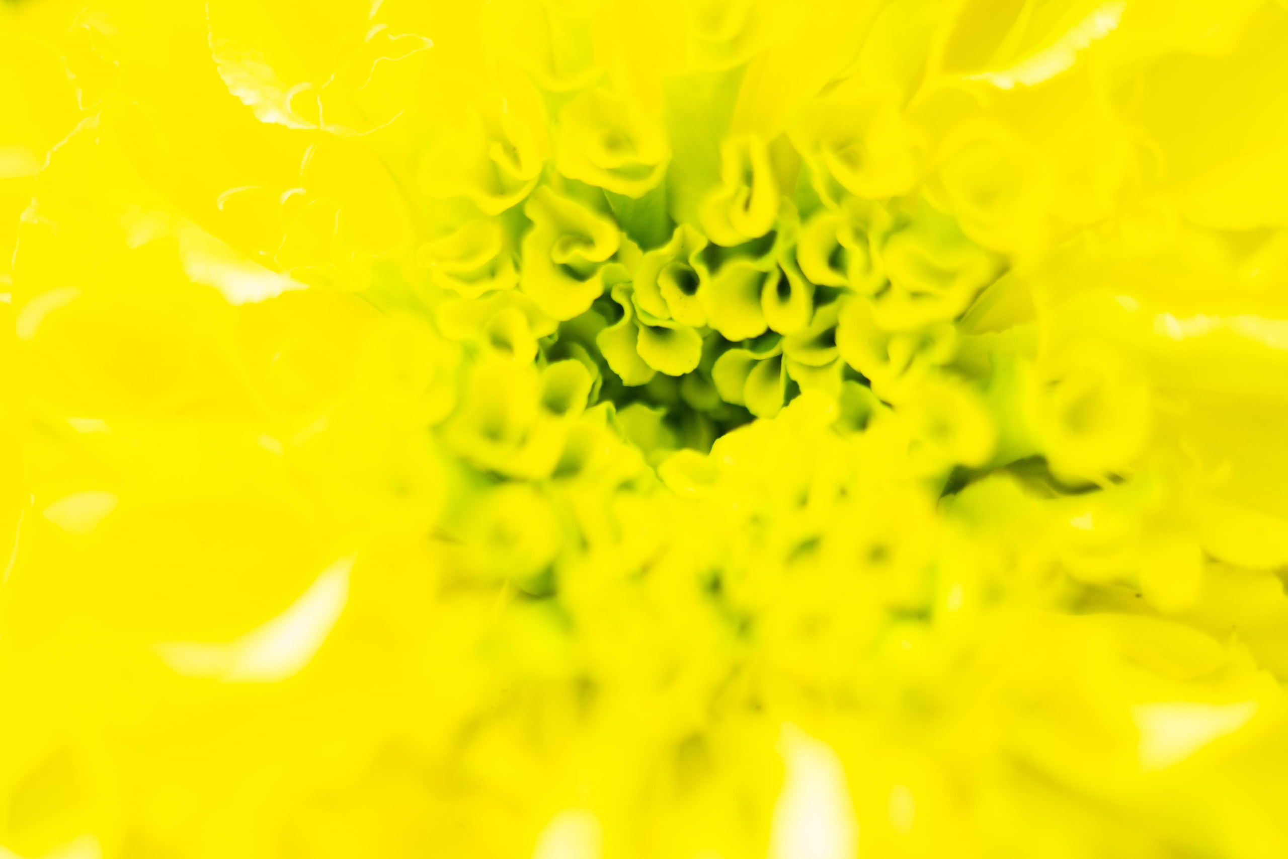 Красивые кадры и макро. Фотограф Ахмедов Эльдар Чита