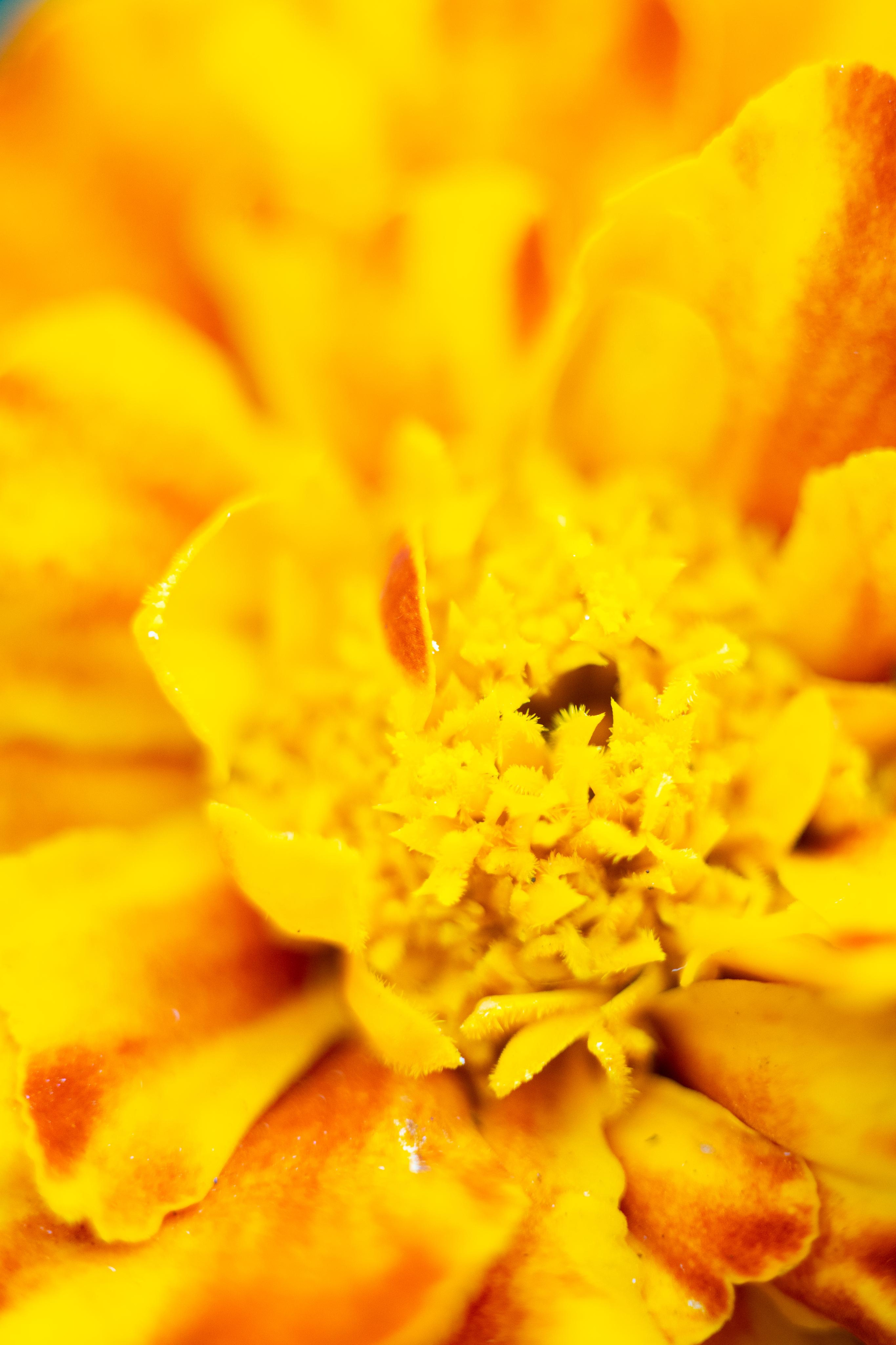 Красивые кадры и макро. Фотограф Ахмедов Эльдар Чита