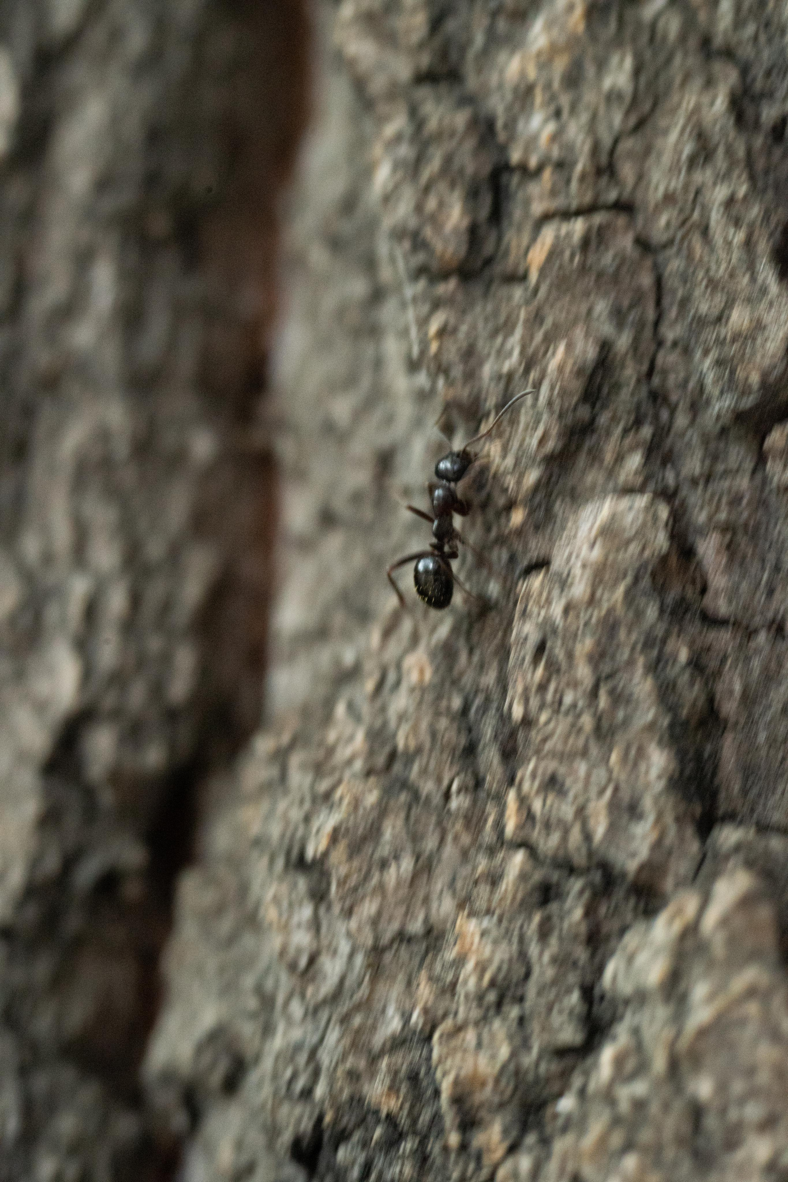 Красивые кадры и макро. Фотограф Ахмедов Эльдар Чита