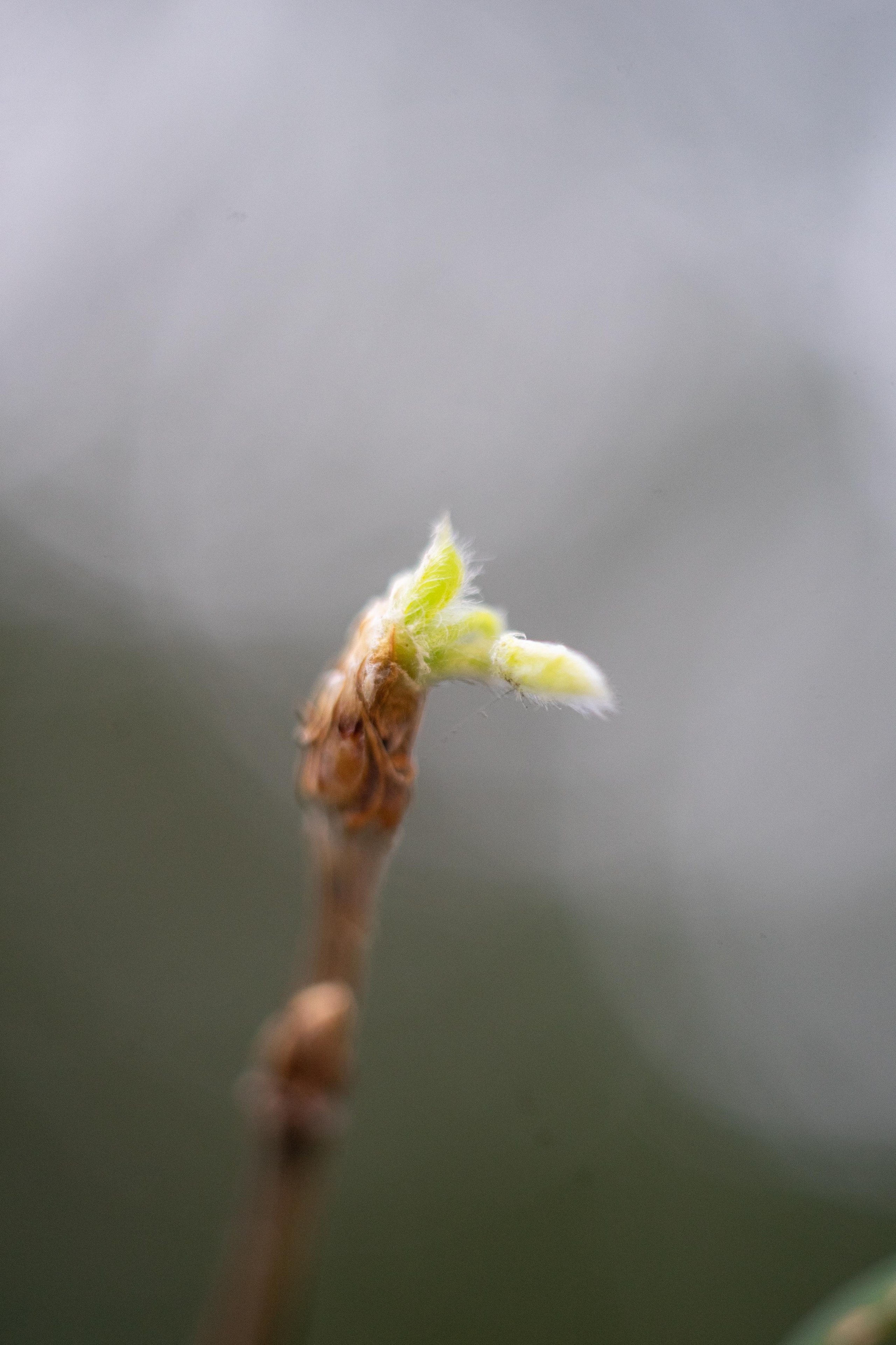 Красивые кадры и макро. Фотограф Ахмедов Эльдар Чита
