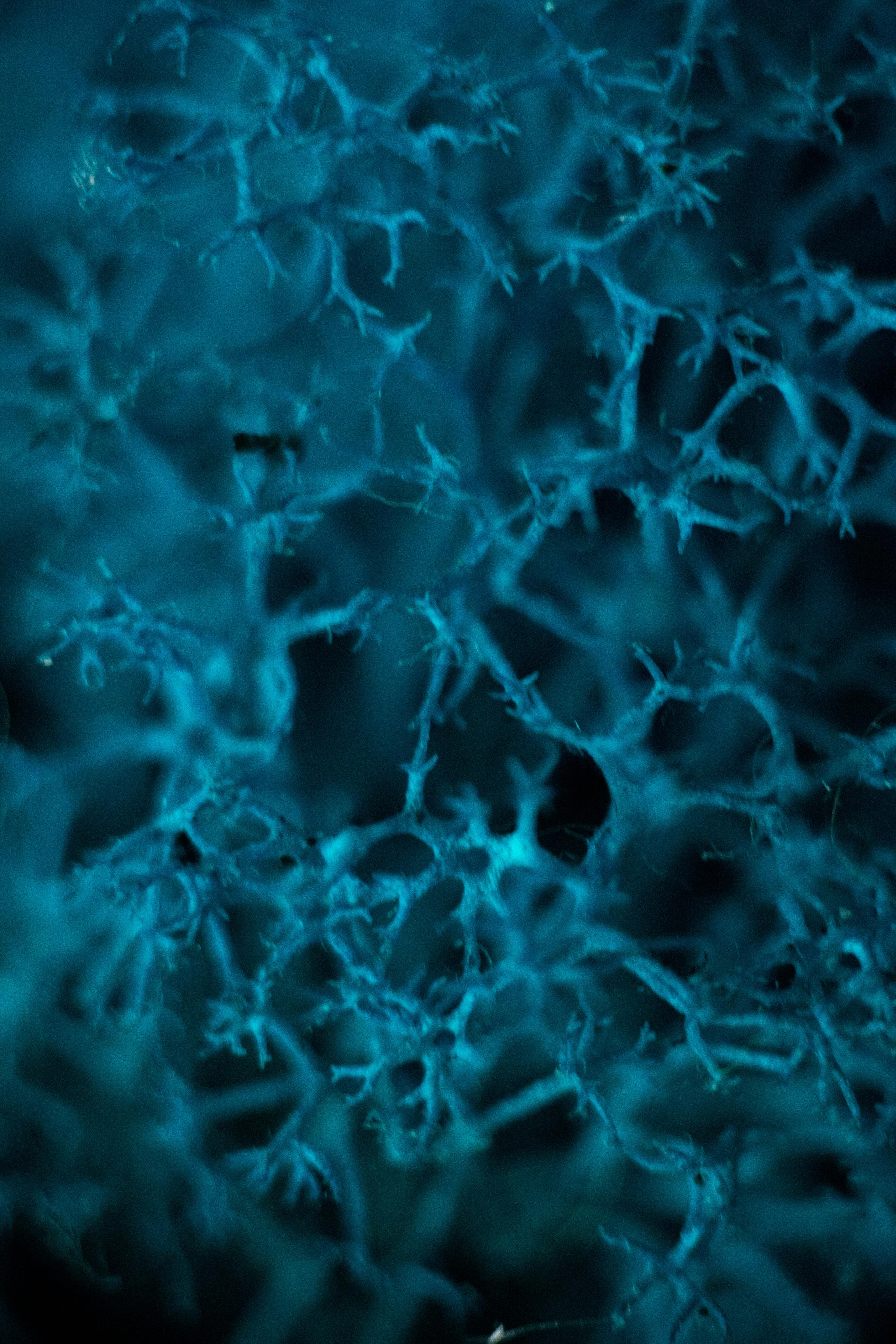 Красивые кадры и макро. Фотограф Ахмедов Эльдар Чита