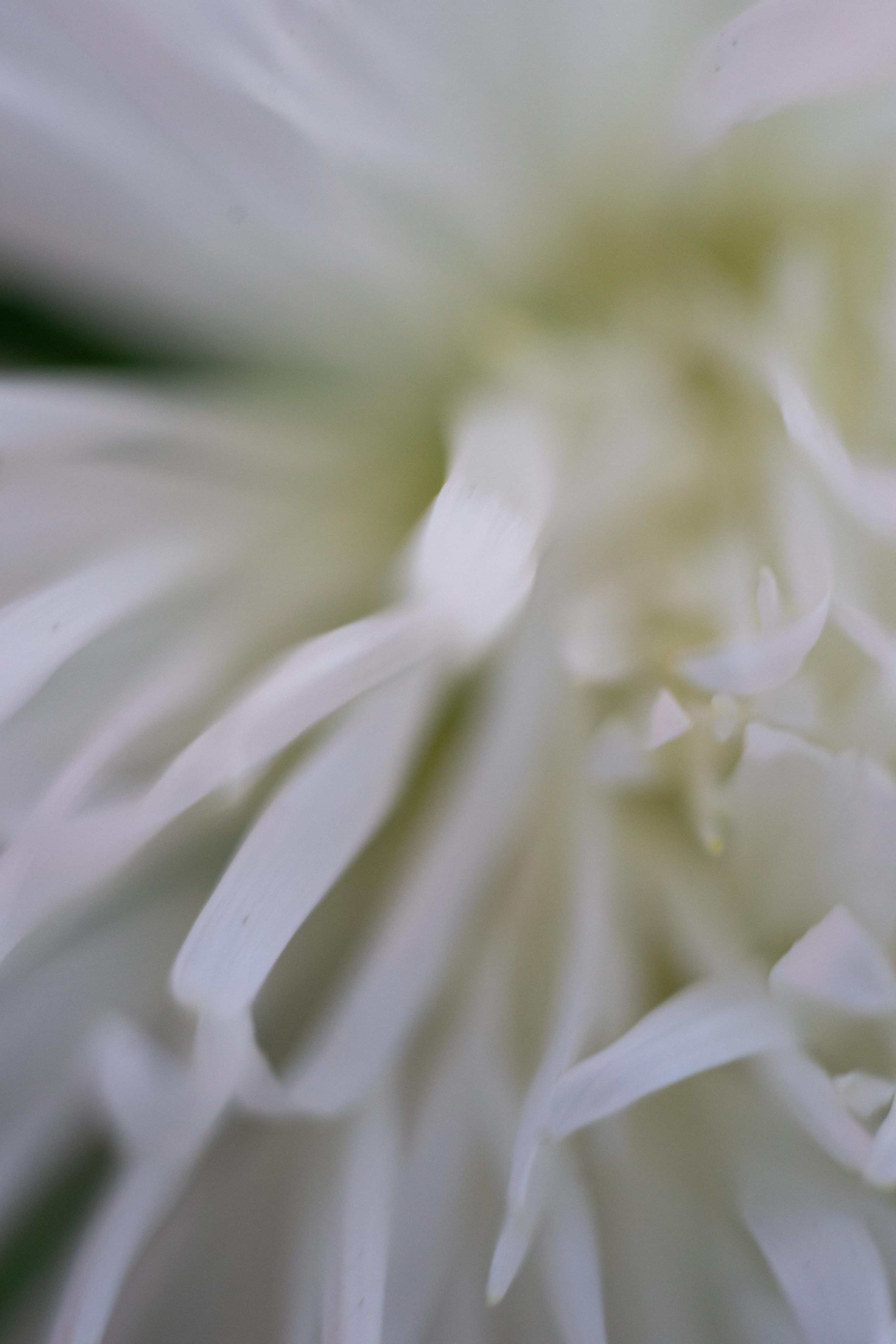 Красивые кадры и макро. Фотограф Ахмедов Эльдар Чита