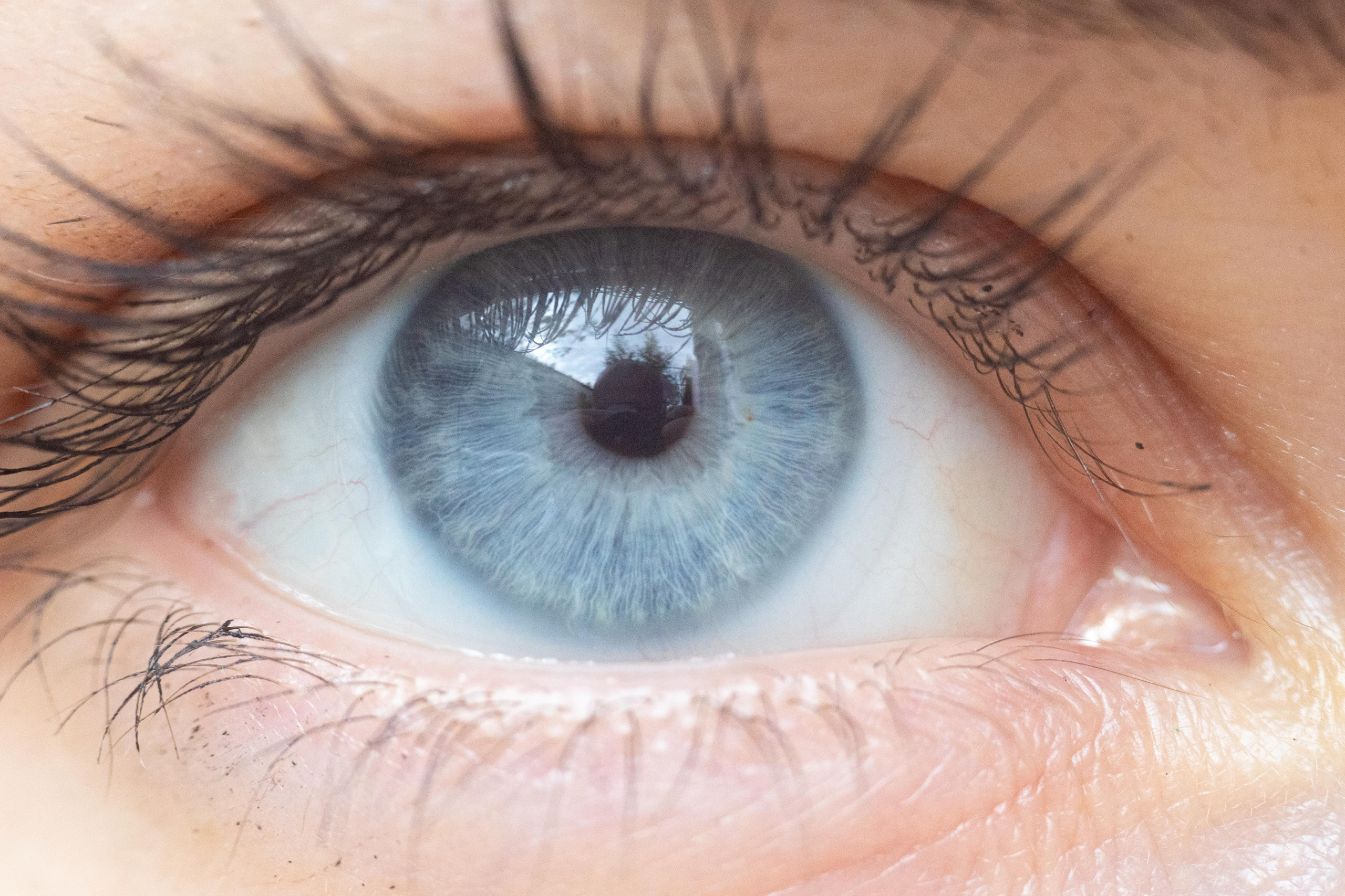 Красивые кадры и макро. Фотограф Ахмедов Эльдар Чита