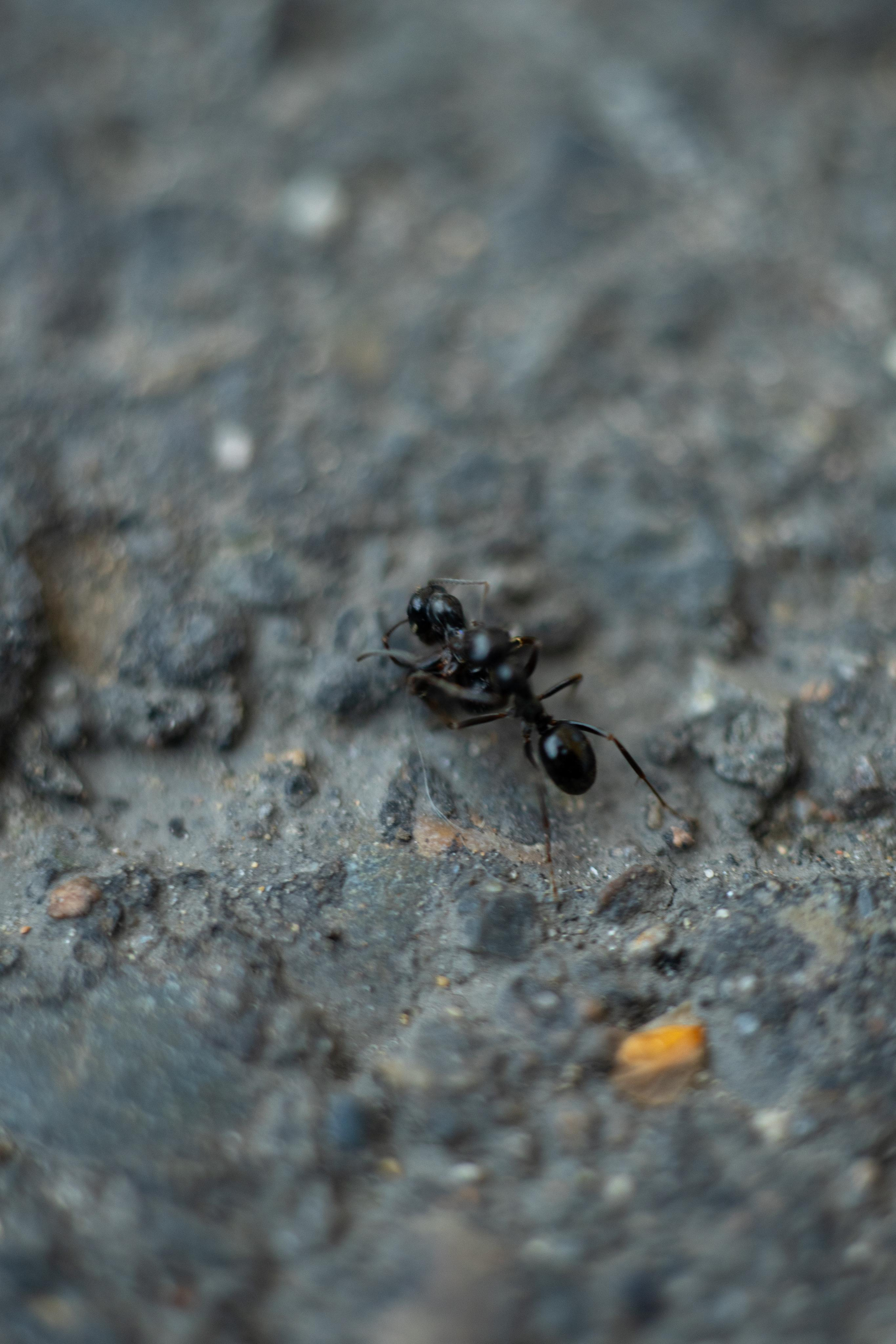 Красивые кадры и макро. Фотограф Ахмедов Эльдар Чита