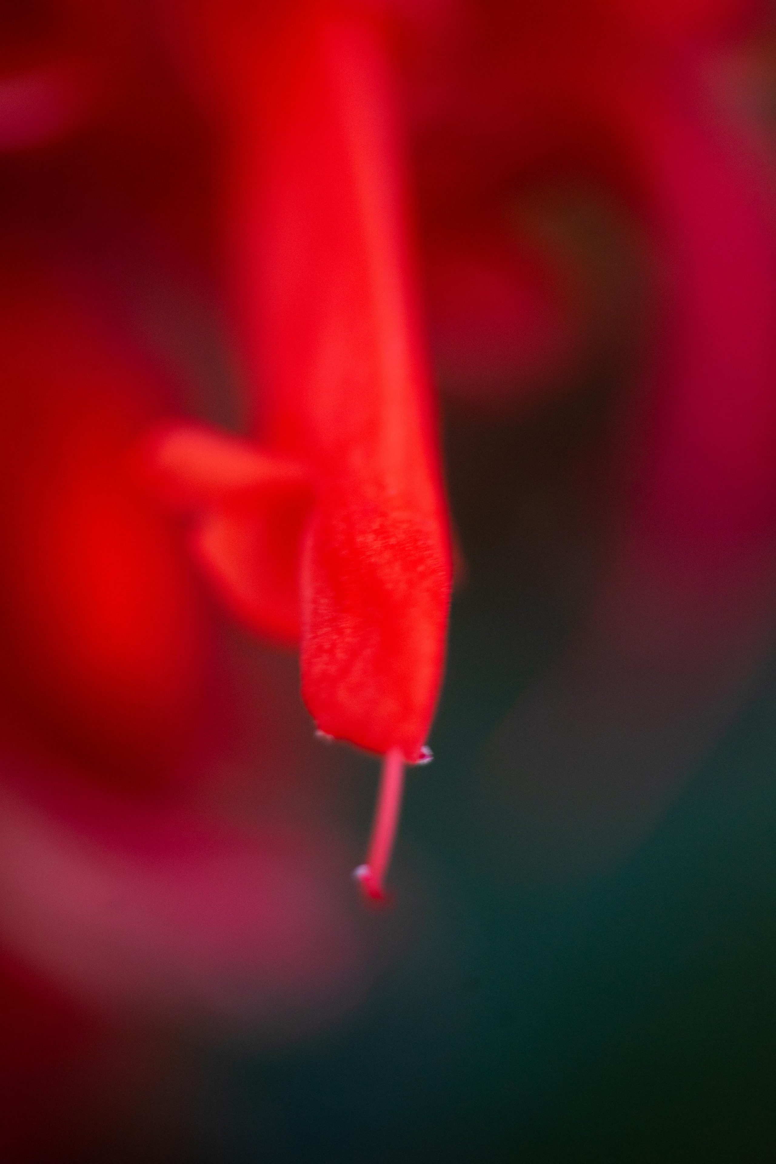 Красивые кадры и макро. Фотограф Ахмедов Эльдар Чита