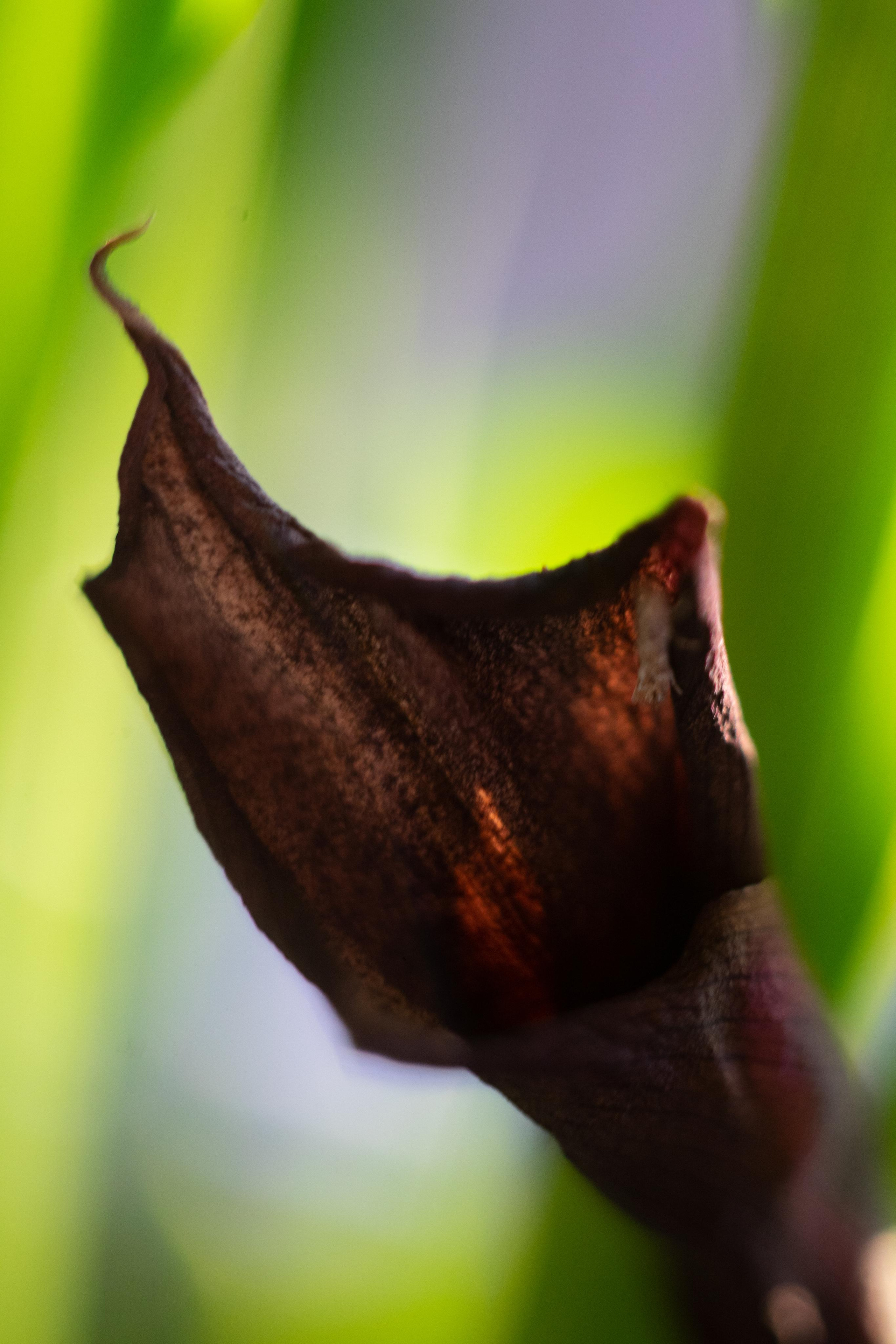 Красивые кадры и макро. Фотограф Ахмедов Эльдар Чита