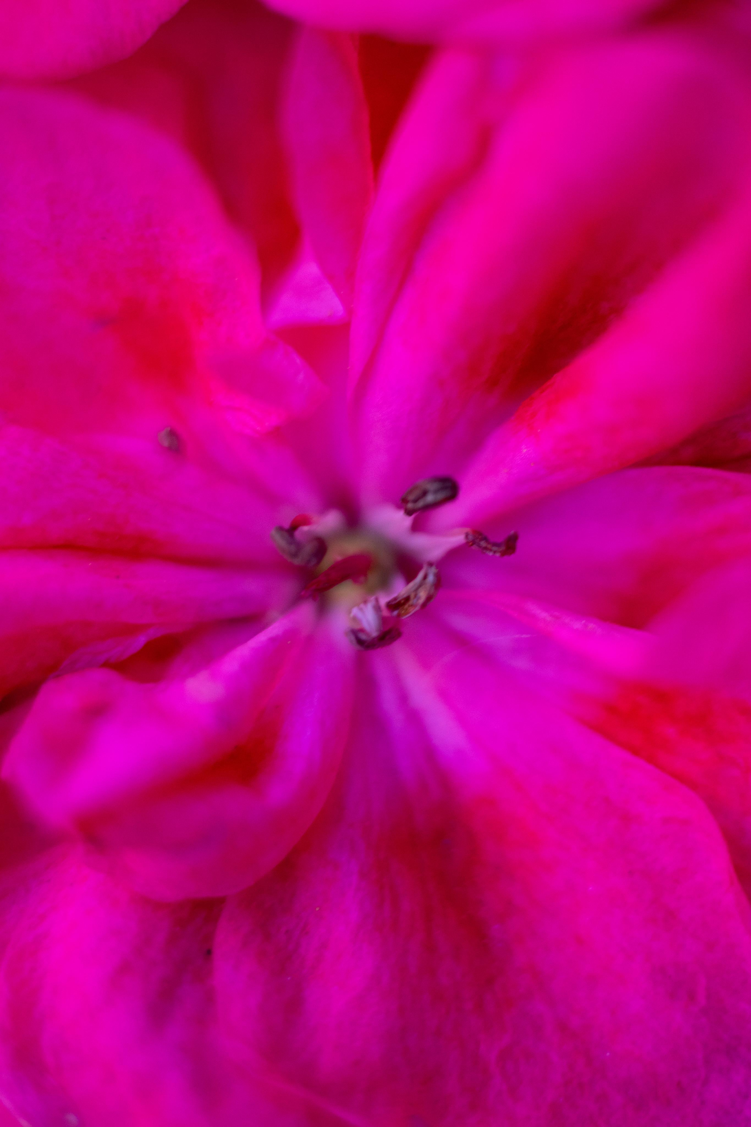 Красивые кадры и макро. Фотограф Ахмедов Эльдар Чита