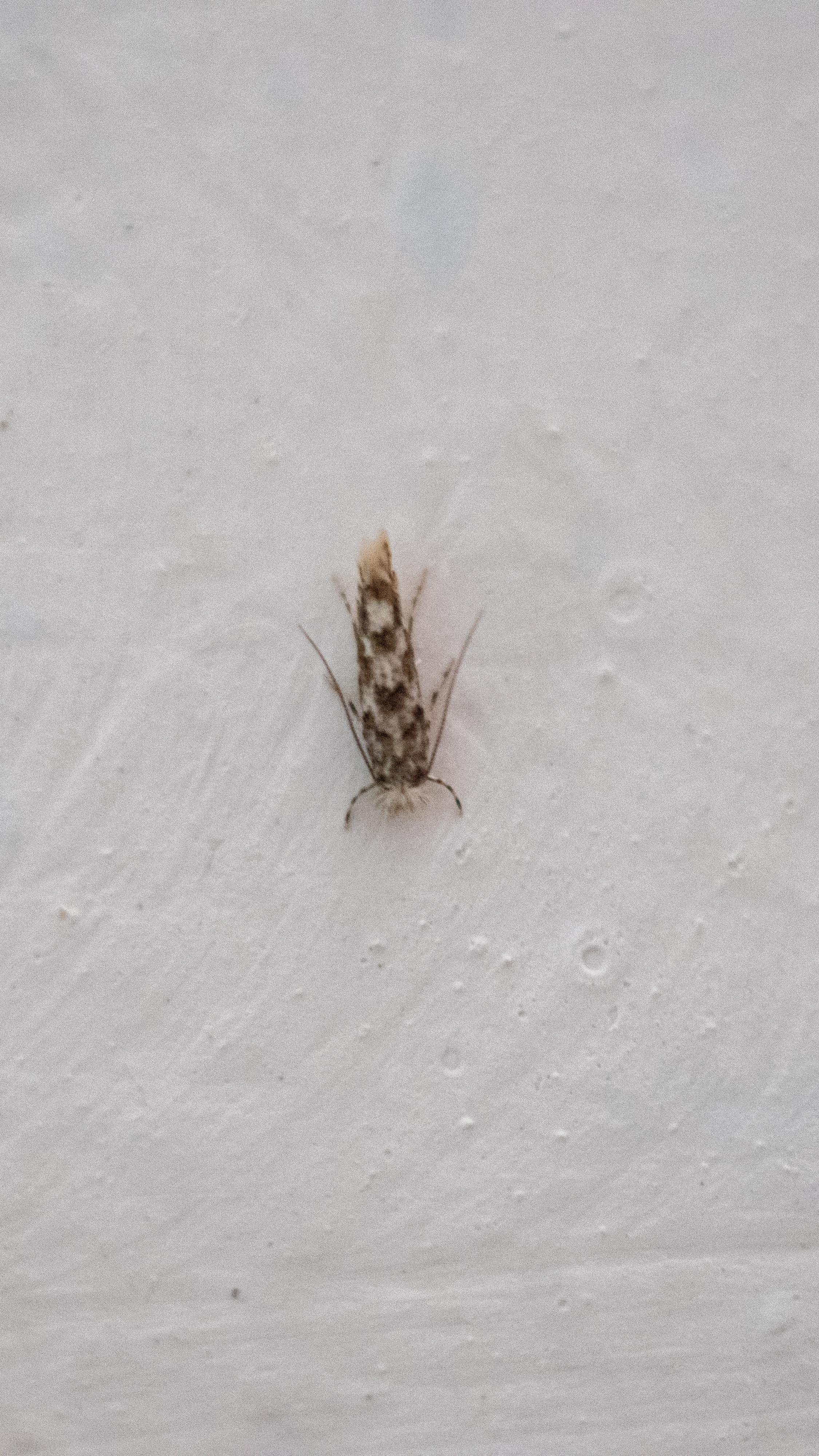 Красивые кадры и макро. Фотограф Ахмедов Эльдар Чита