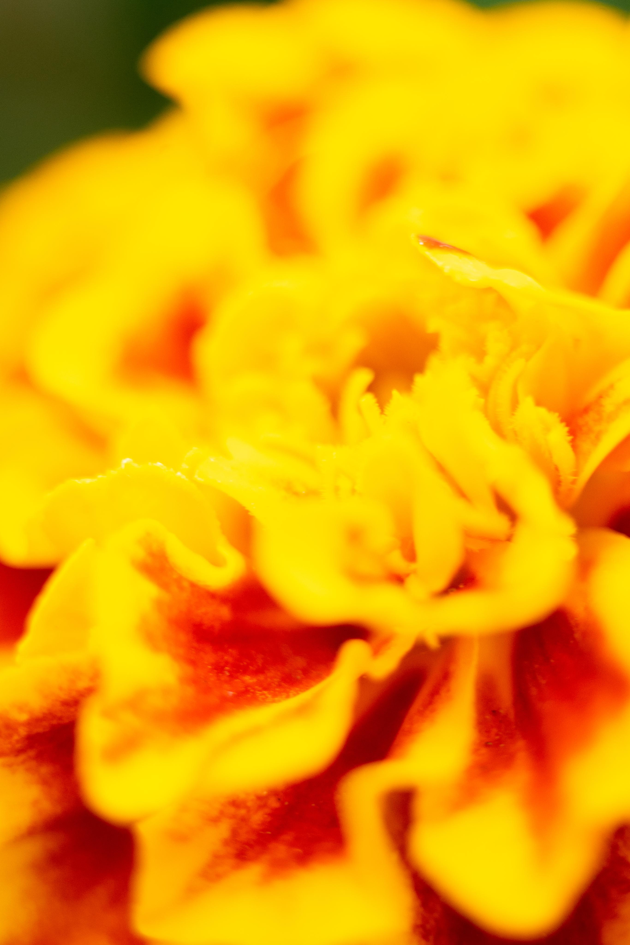 Красивые кадры и макро. Фотограф Ахмедов Эльдар Чита