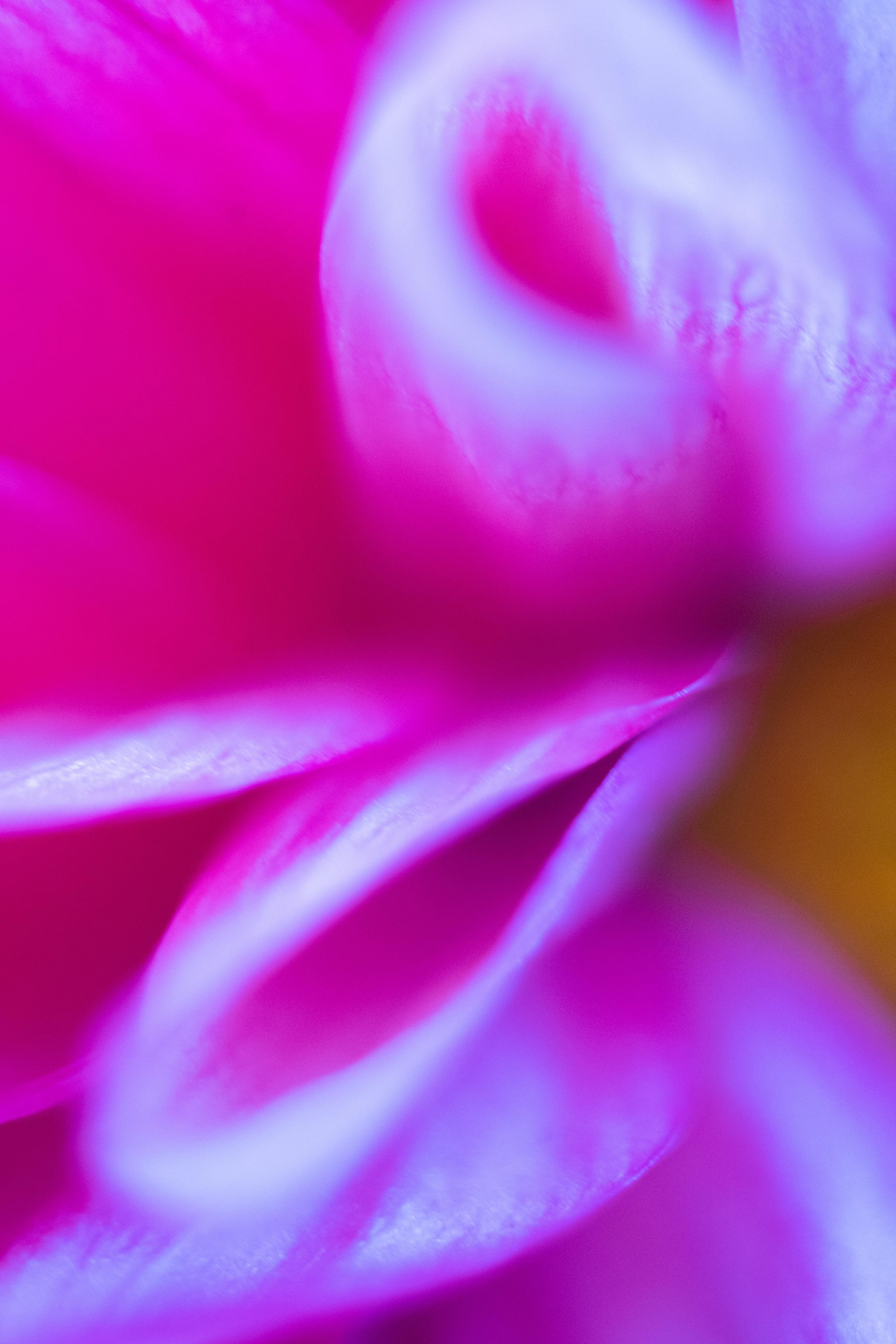 Красивые кадры и макро. Фотограф Ахмедов Эльдар Чита