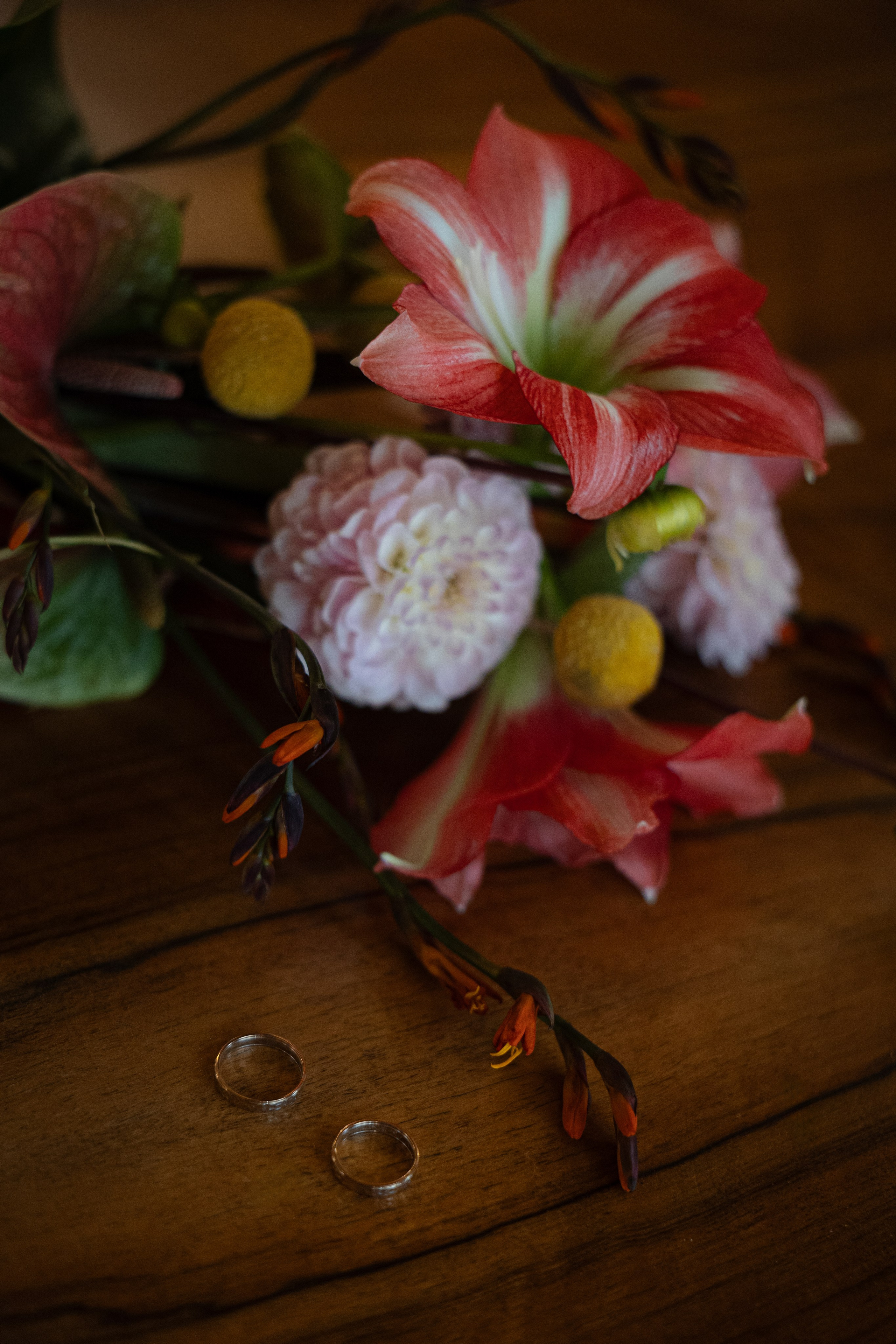 Евгения и Михаил. Ваш фотограф — Александра Андрущенко