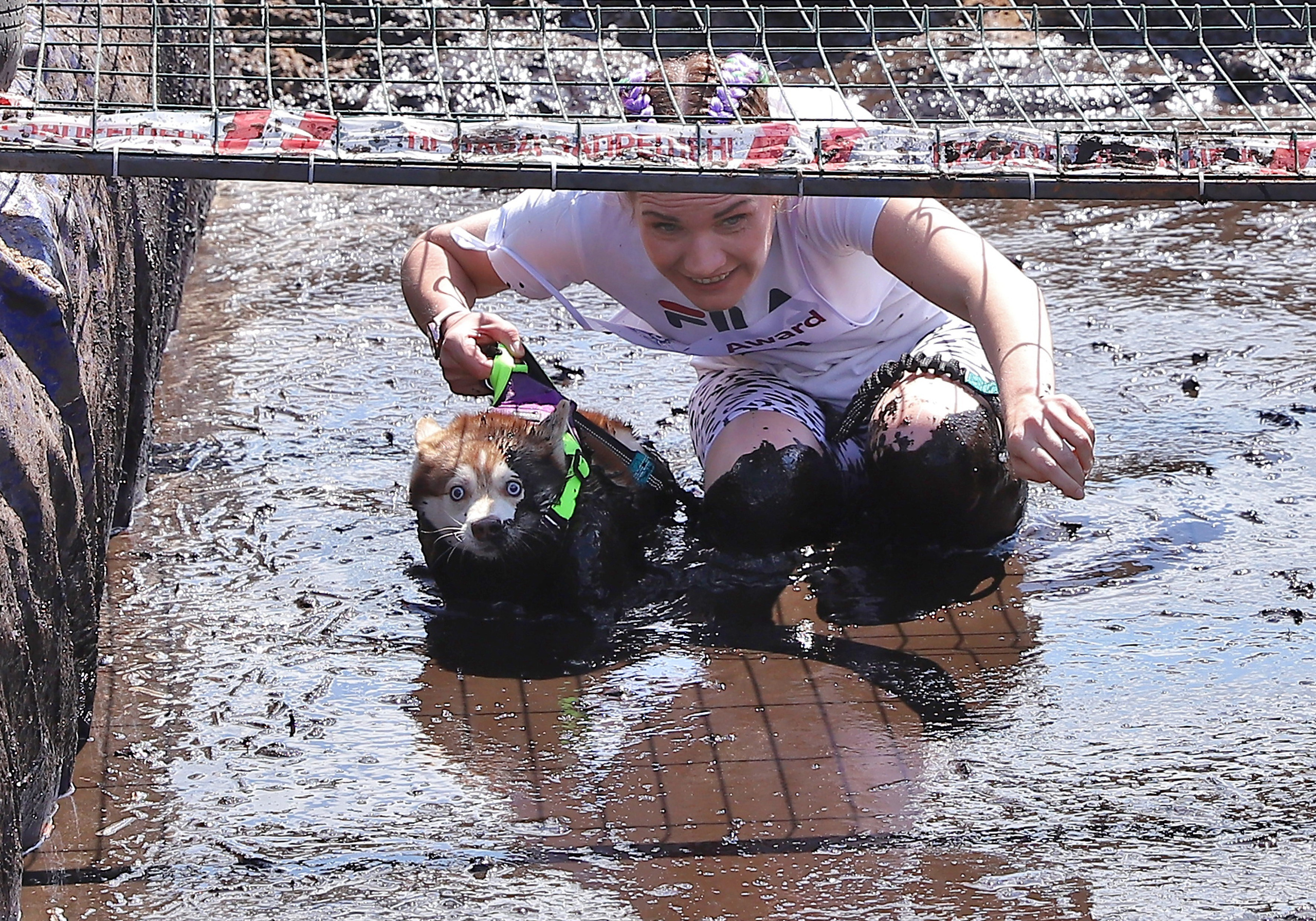 Хвостатый драйв. Семейный и детский фотограф в Москве и МО Елена Москвичева