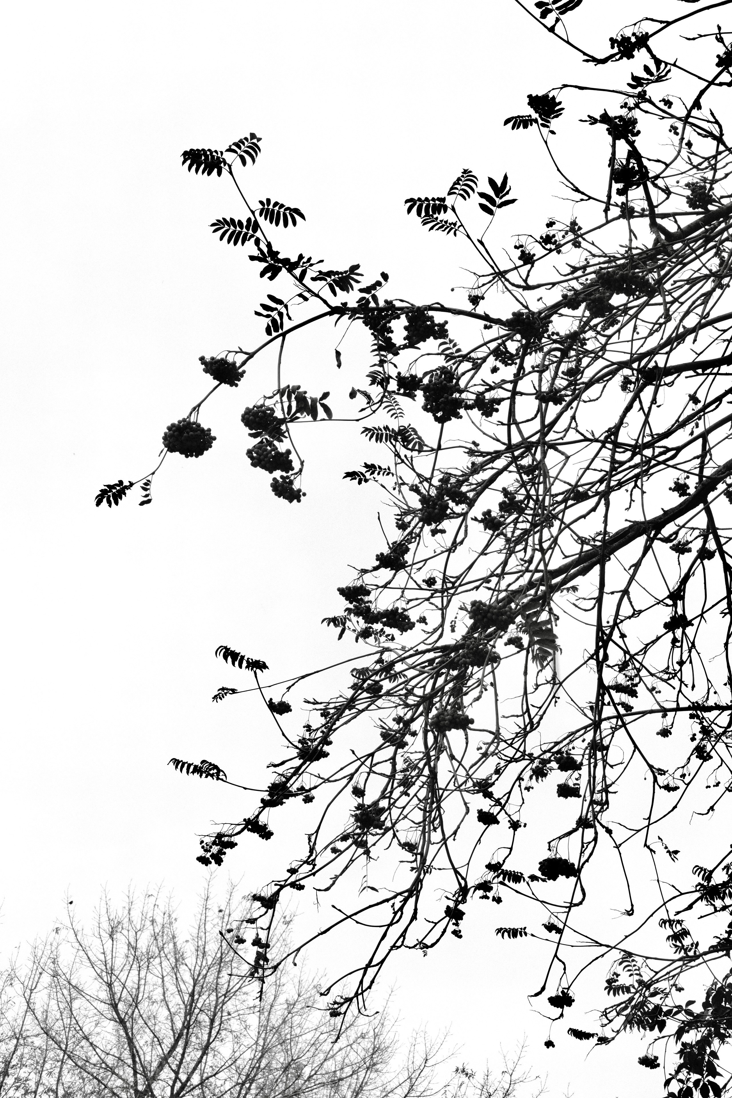 Чехов-Серпухов. Фотограф Маргана Лоция