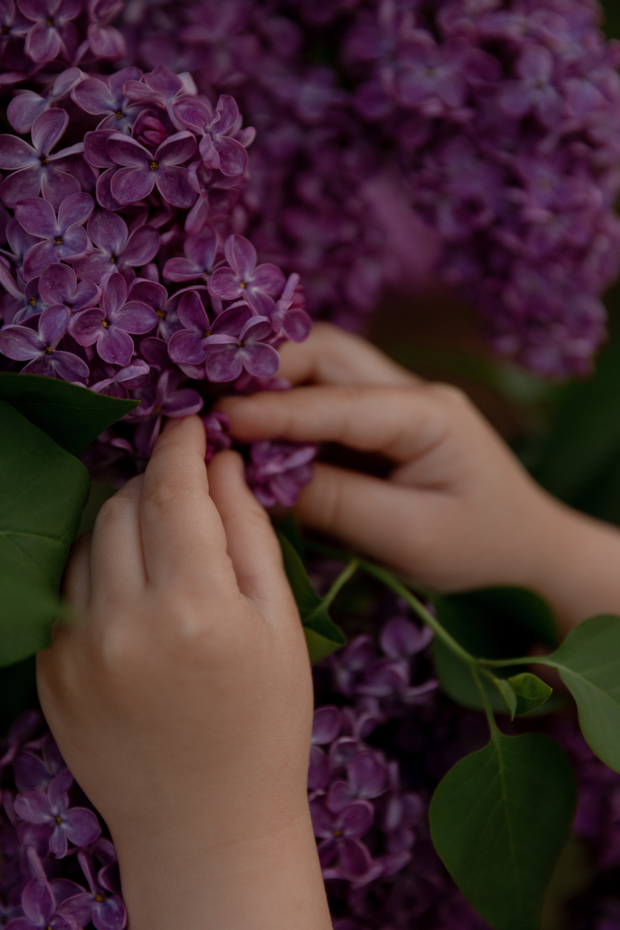 Ира и Настена в Кремле. Свадебный и семейный фотограф Ксения Маллер