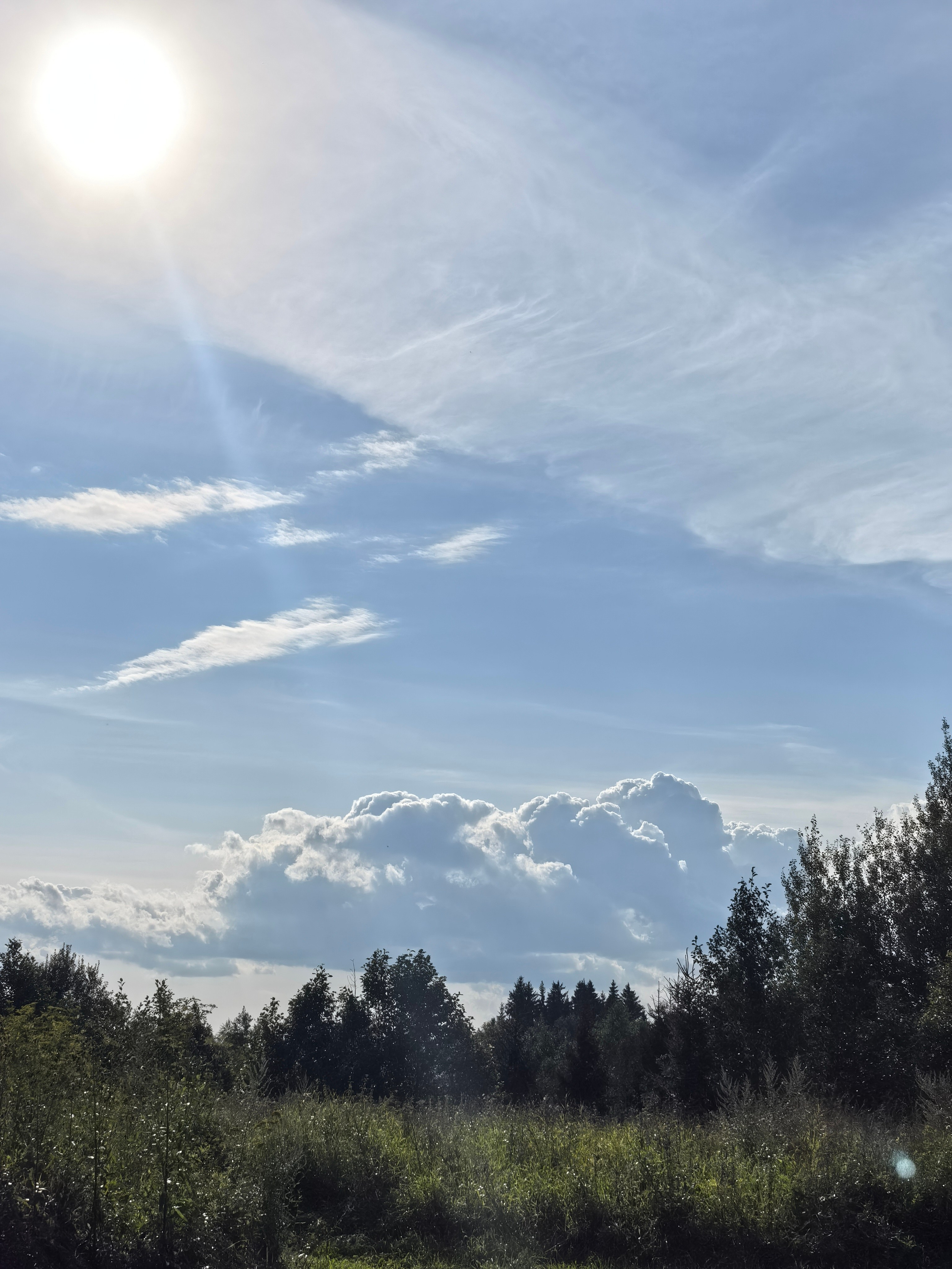 Чудесная природа. Школьные выпускные альбомы в Москве Марина Николаева