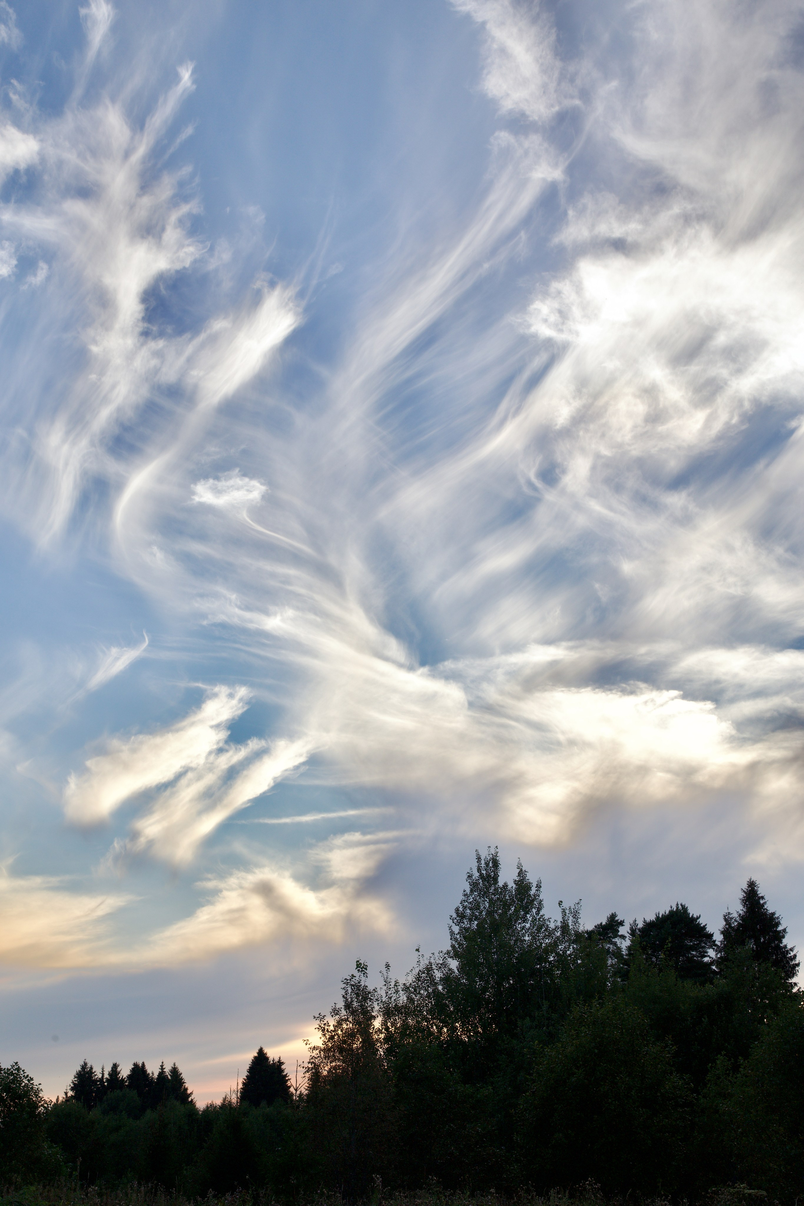 Чудесная природа. Школьные выпускные альбомы в Москве Марина Николаева