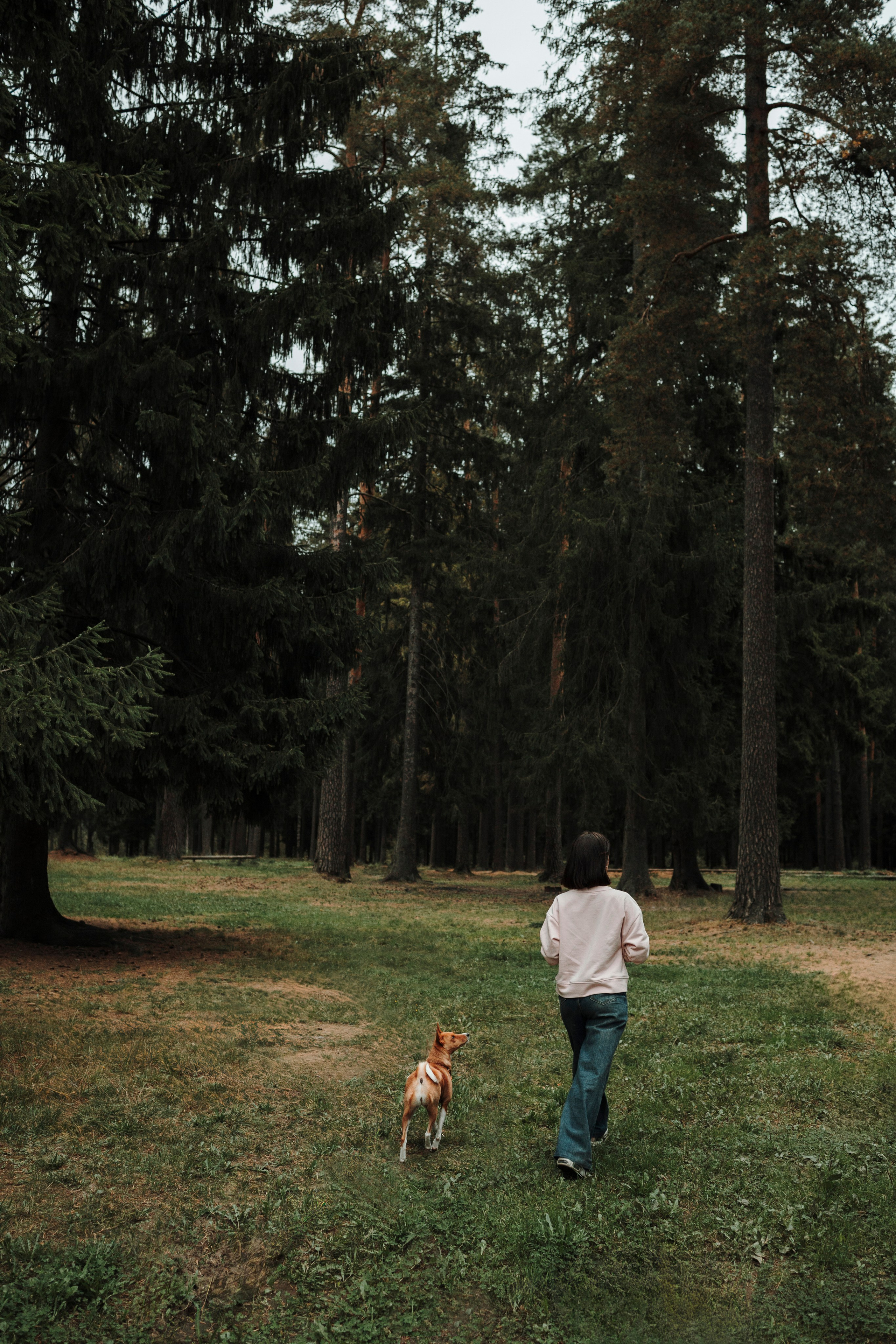 Даша и Лора. Фотограф-анималист в Санкт-Петеребурге Титова Алиса