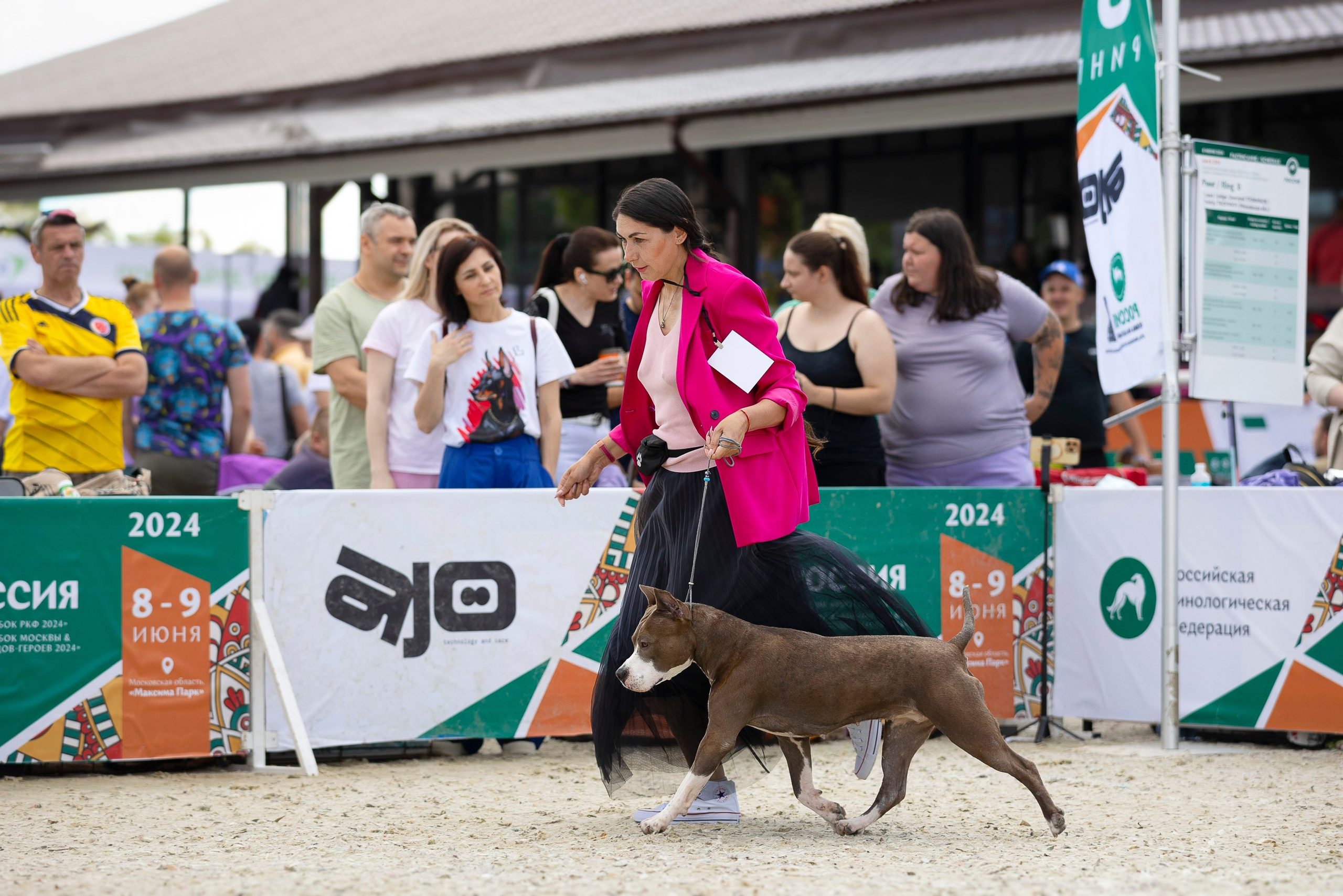 Россия 2024. Фотограф анималист, семейный фотограф, фотограф собак Комратова Мария. г. Москва