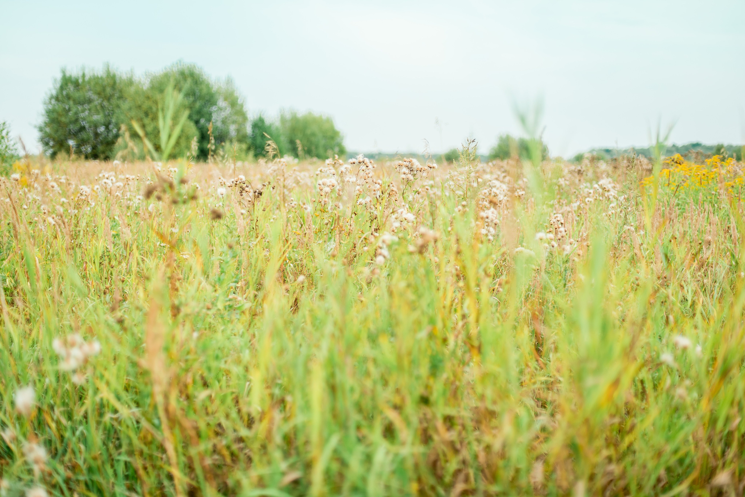 В поле. Фотограф Юлия Попова