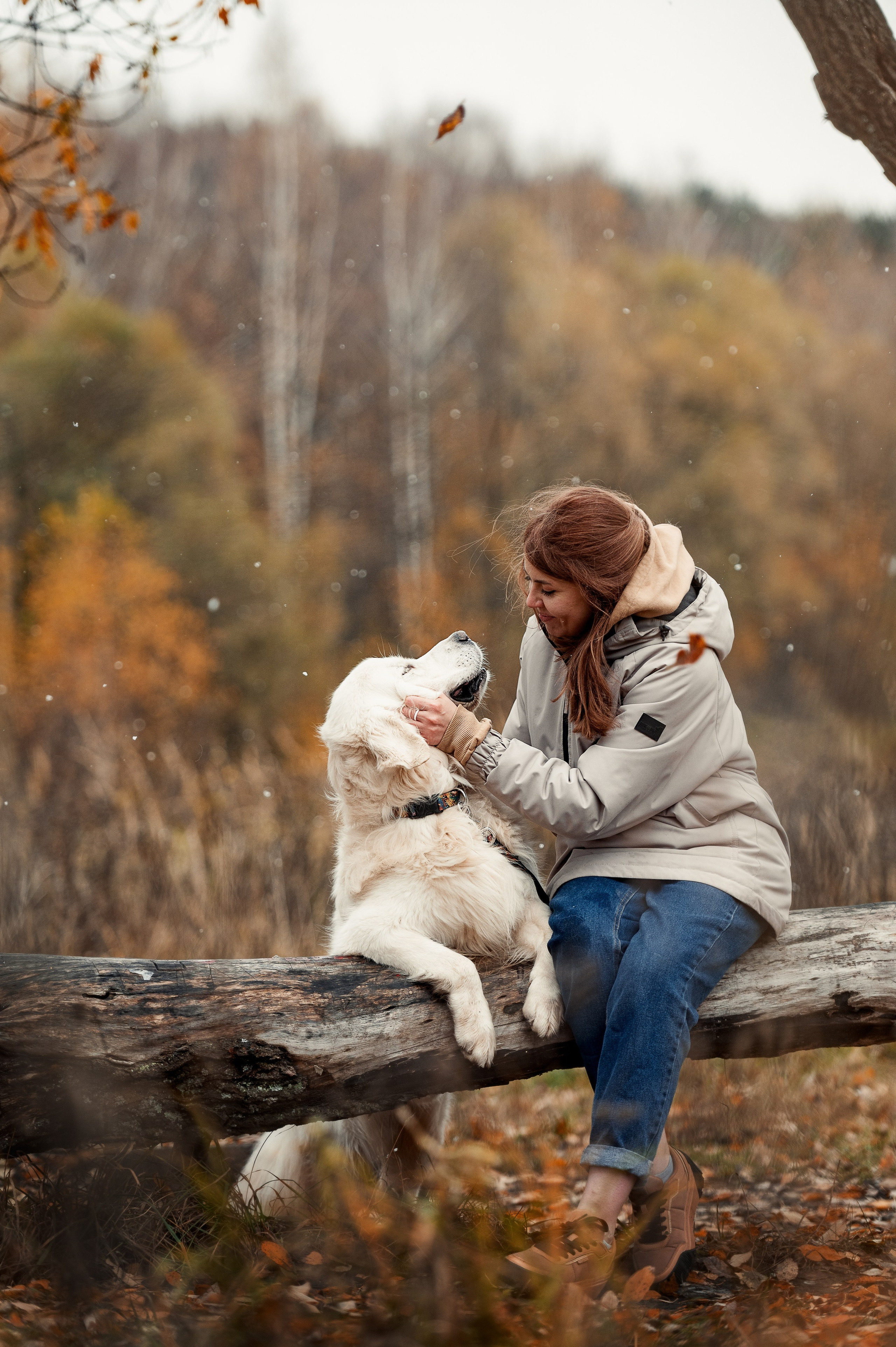Айс и золотая осень. Фотограф-анималист