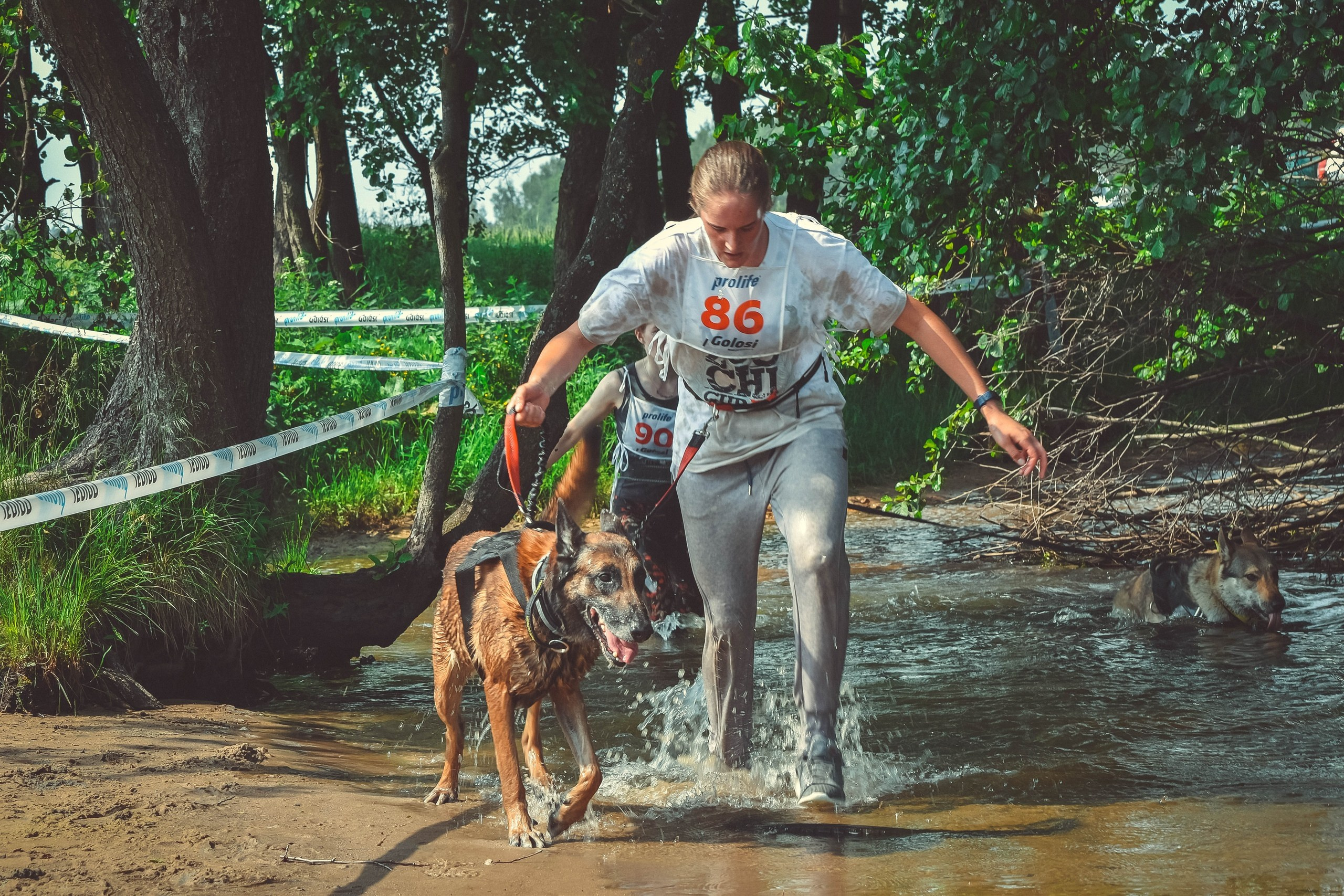 Хвостатый драйв 2019. Семейный фотограф в Москве и Севастополе Анастасия Котова