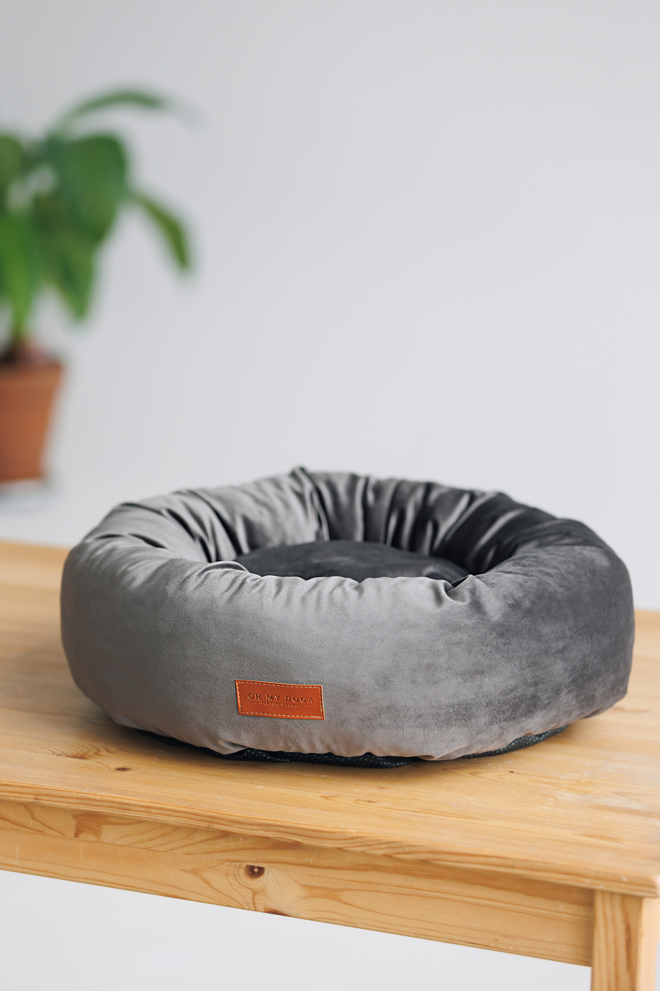 OH MY DOGA. Фотограф анималист Кристина Карпова, Москва