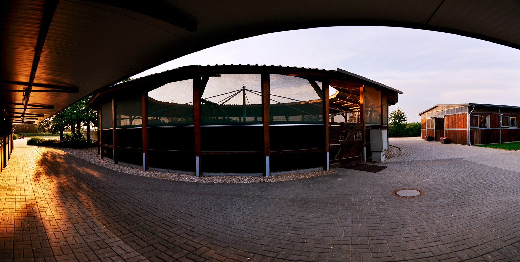 ЕС. Конный фотограф Alesya Safe