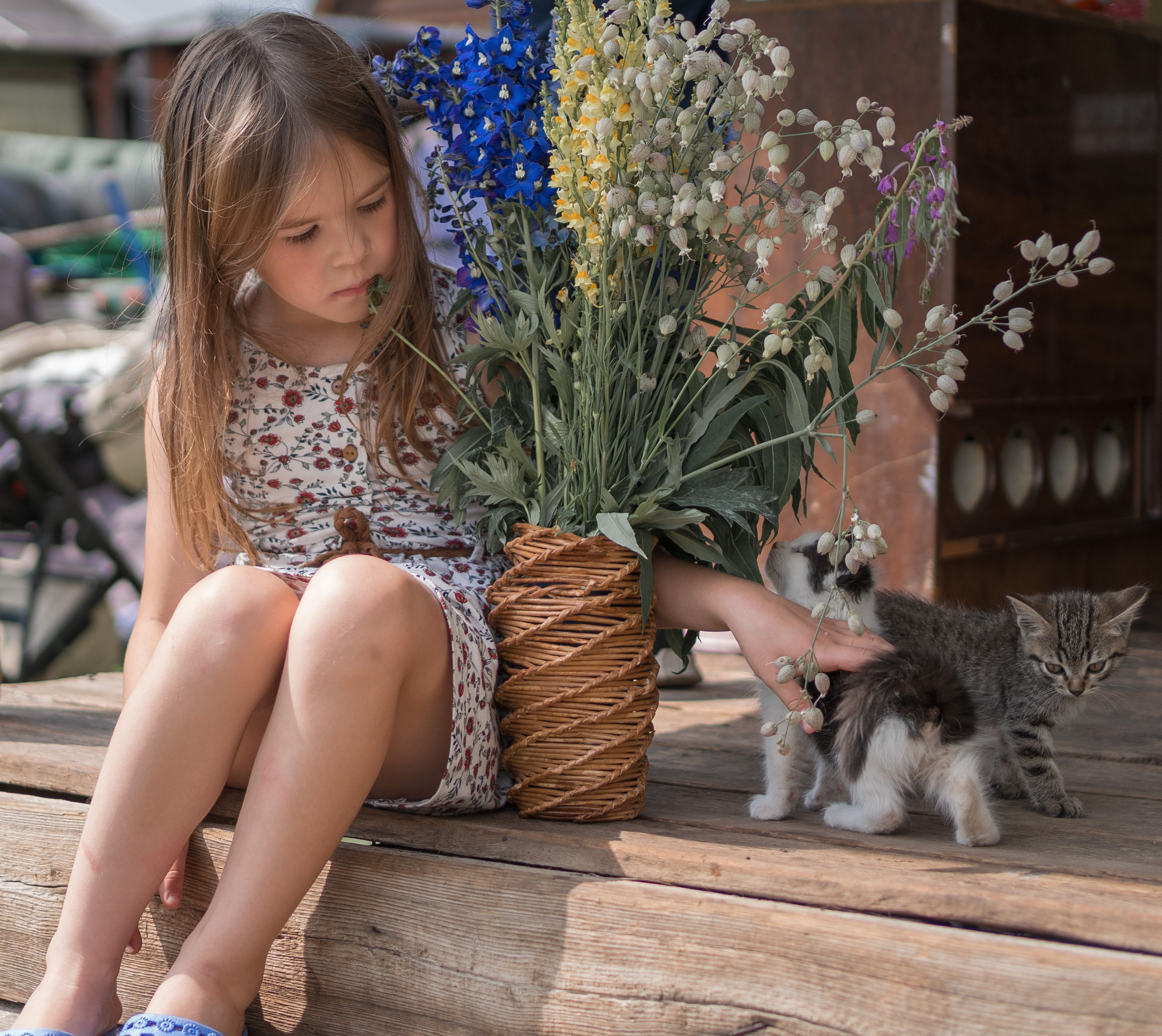 У Алексея с Ольгой. Фотограф Ворошилов Дмитрий. Эссо. Камчатка