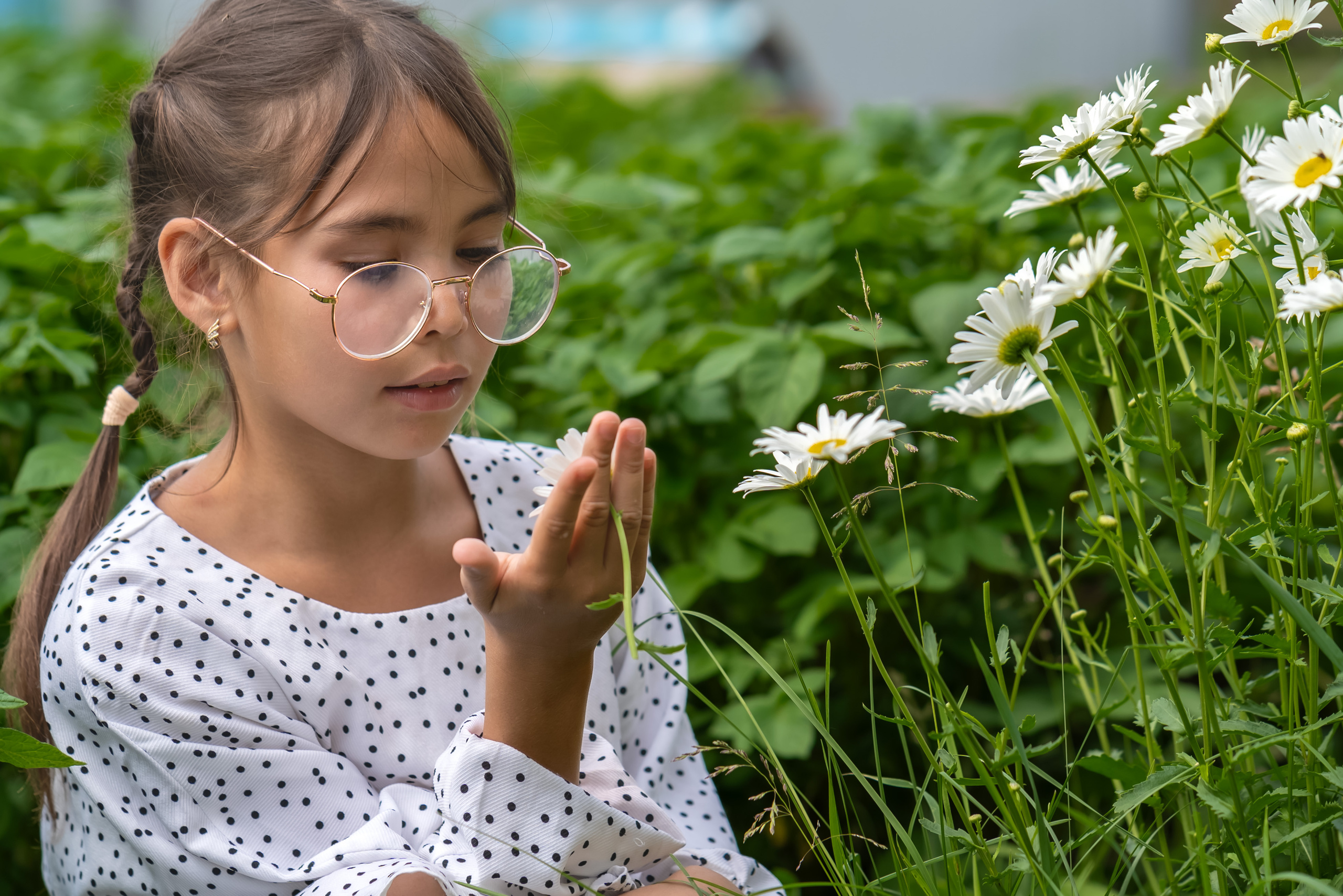 У Алексея с Ольгой. Фотограф Ворошилов Дмитрий. Эссо. Камчатка