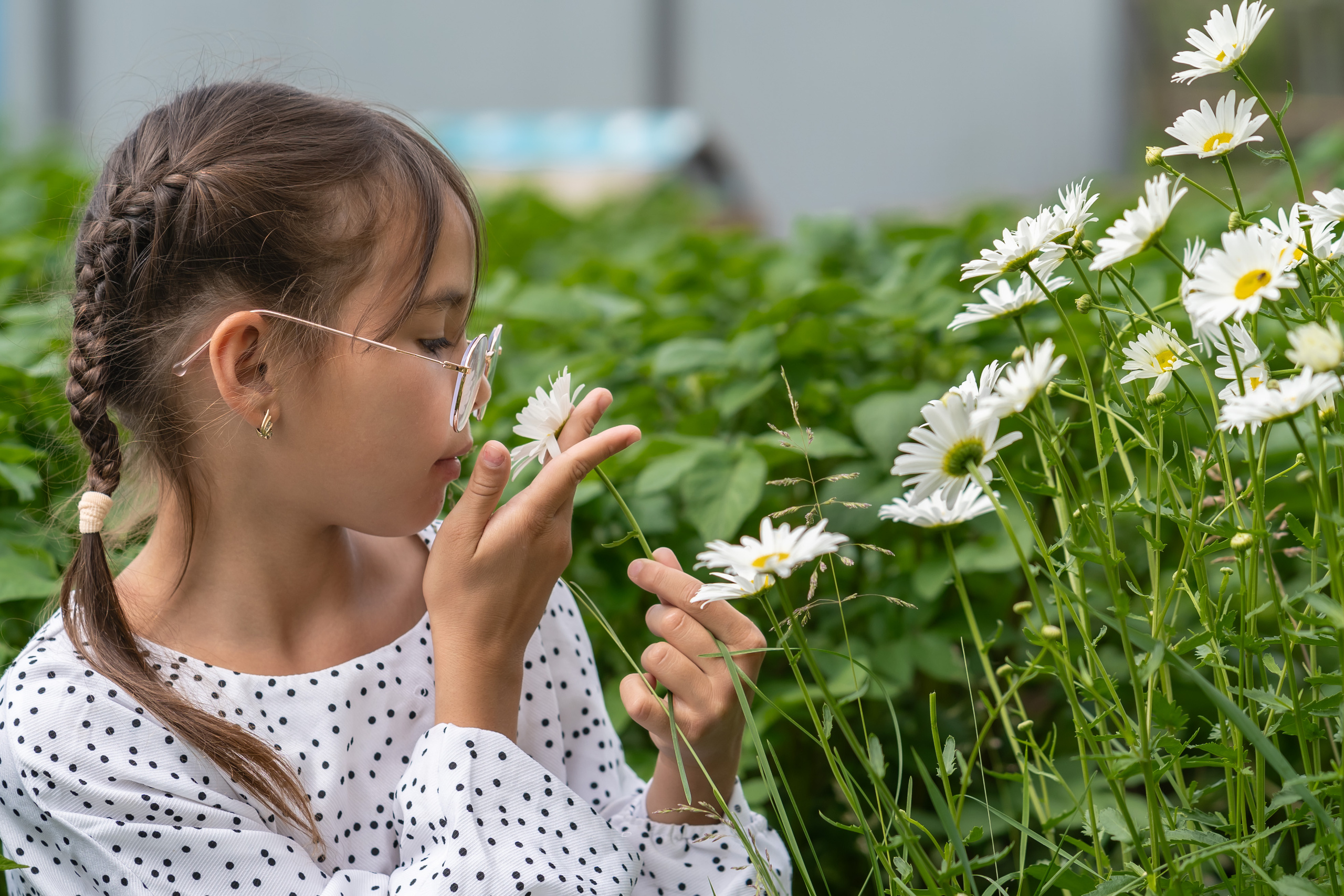 У Алексея с Ольгой. Фотограф Ворошилов Дмитрий. Эссо. Камчатка